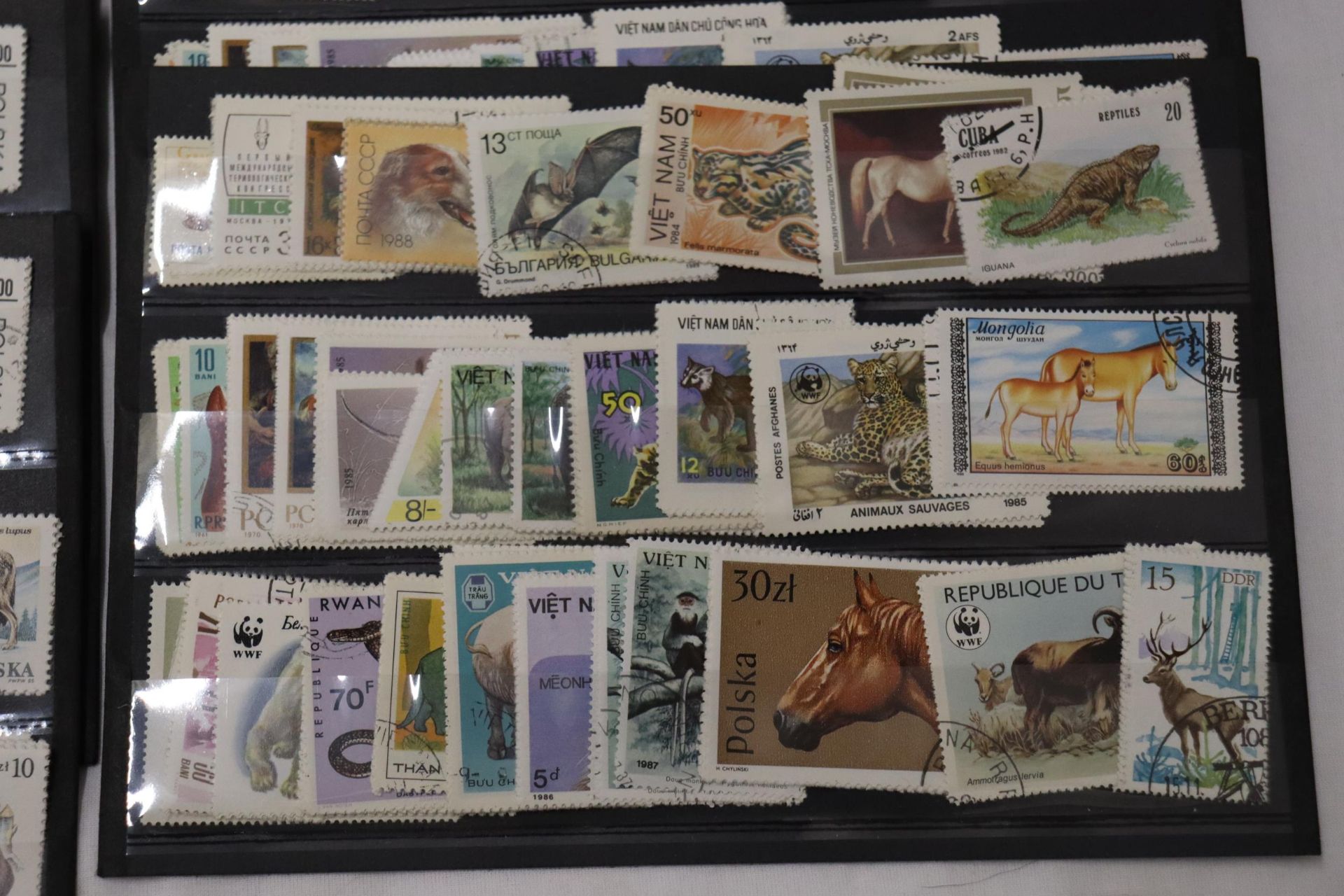 A COLLECTION OF STAMPS ON STOCK CARDS - Image 3 of 6