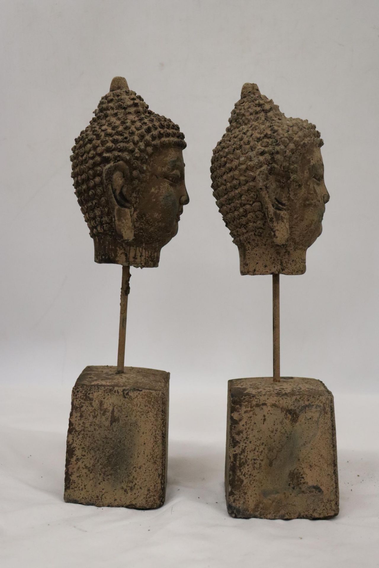 TWO BUDDAH HEADS ON STANDS - Image 5 of 5