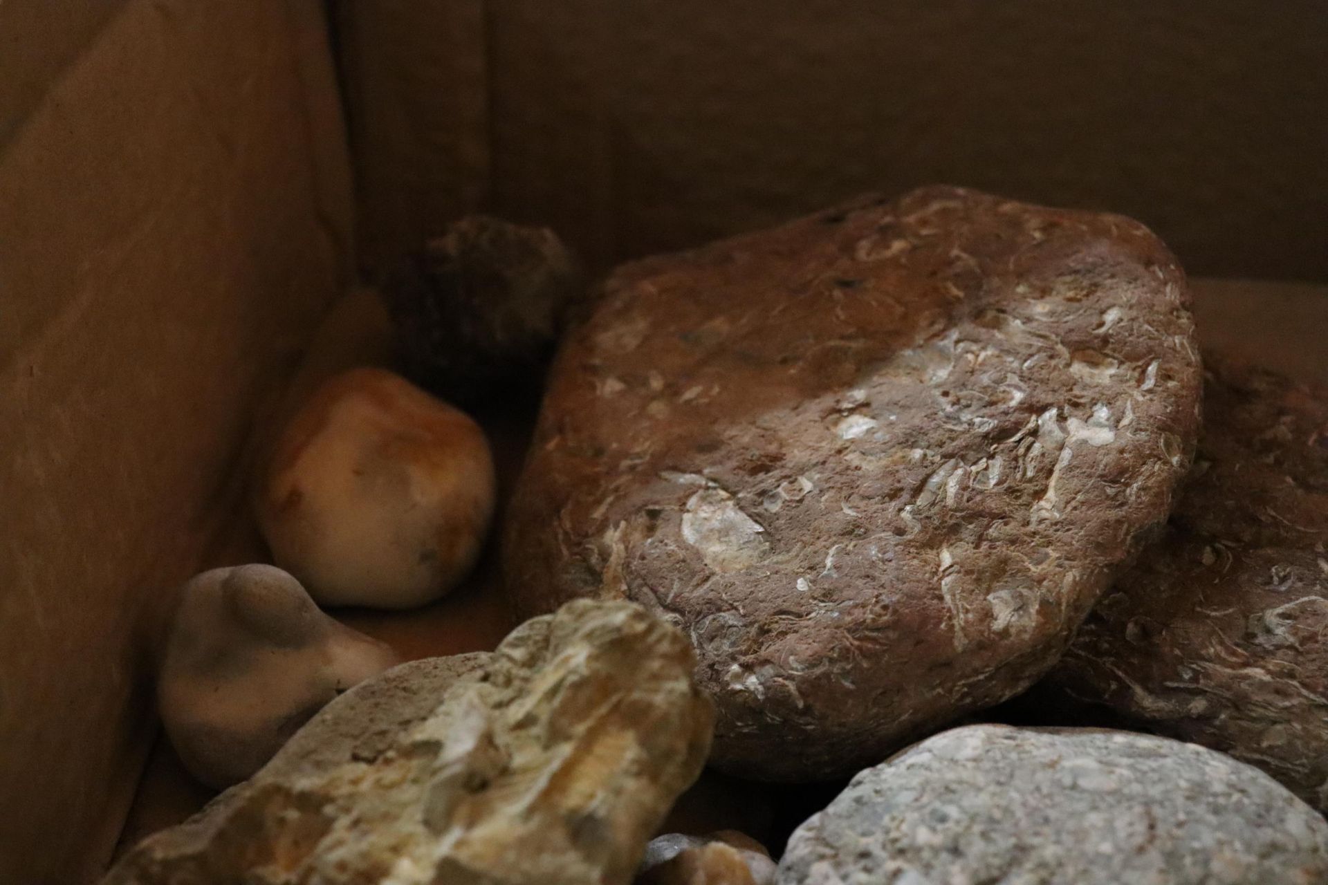 A BOX OF ASSORTED GEOLOGICAL STONES, ETC - Image 3 of 6