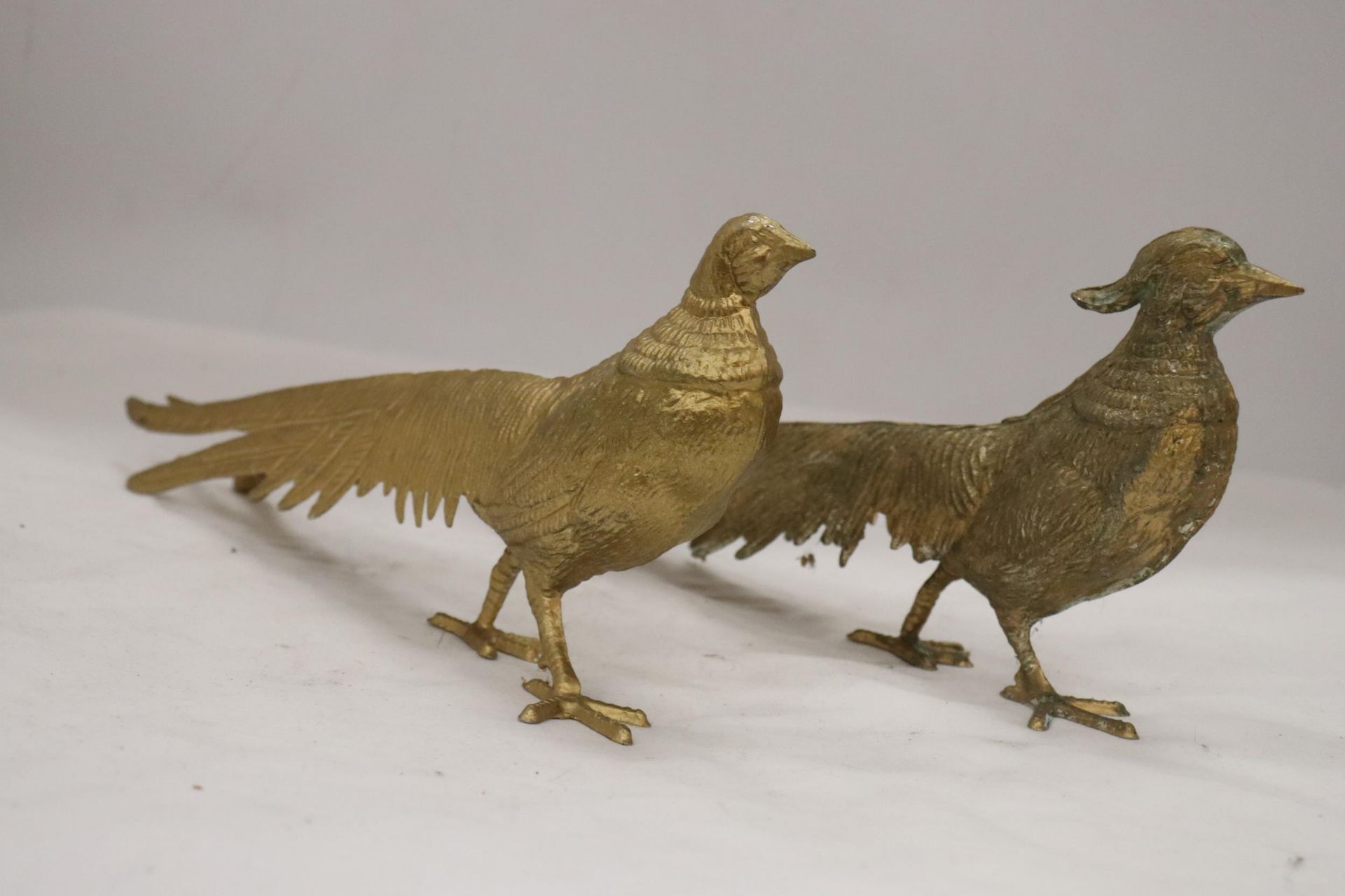 A PAIR OF COCK AND HEN PHEASANTS, HEIGHT 12CM, LENGTH 28CM - Image 3 of 5