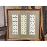 A FRAMED COLLECTION OF BELIZE STAMPS FEATURING BIRDS AND BUTTERFLIES