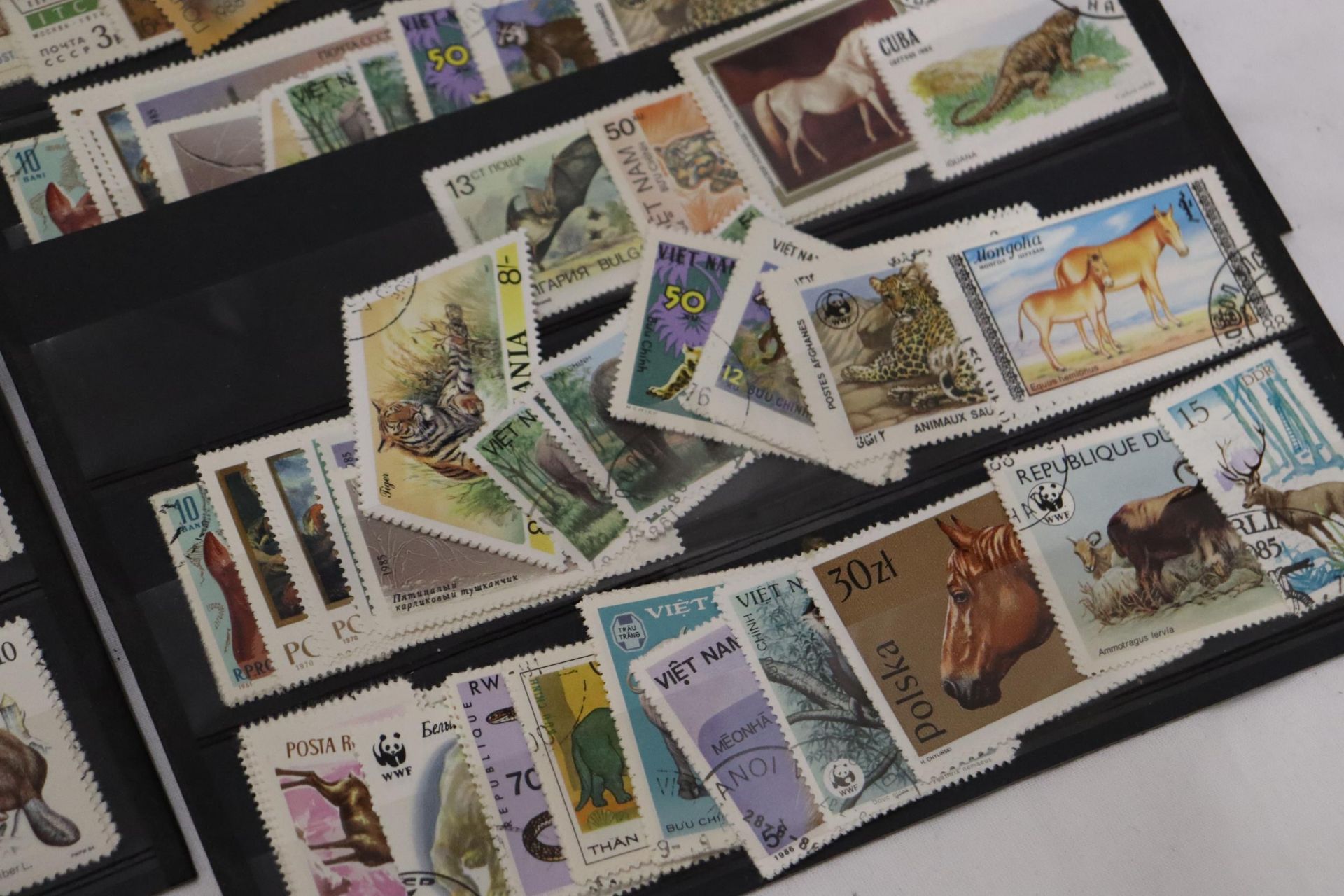 A COLLECTION OF STAMPS ON STOCK SHEETS - Image 3 of 7