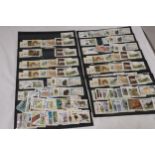 A COLLECTION OF STAMPS ON STOCK CARDS