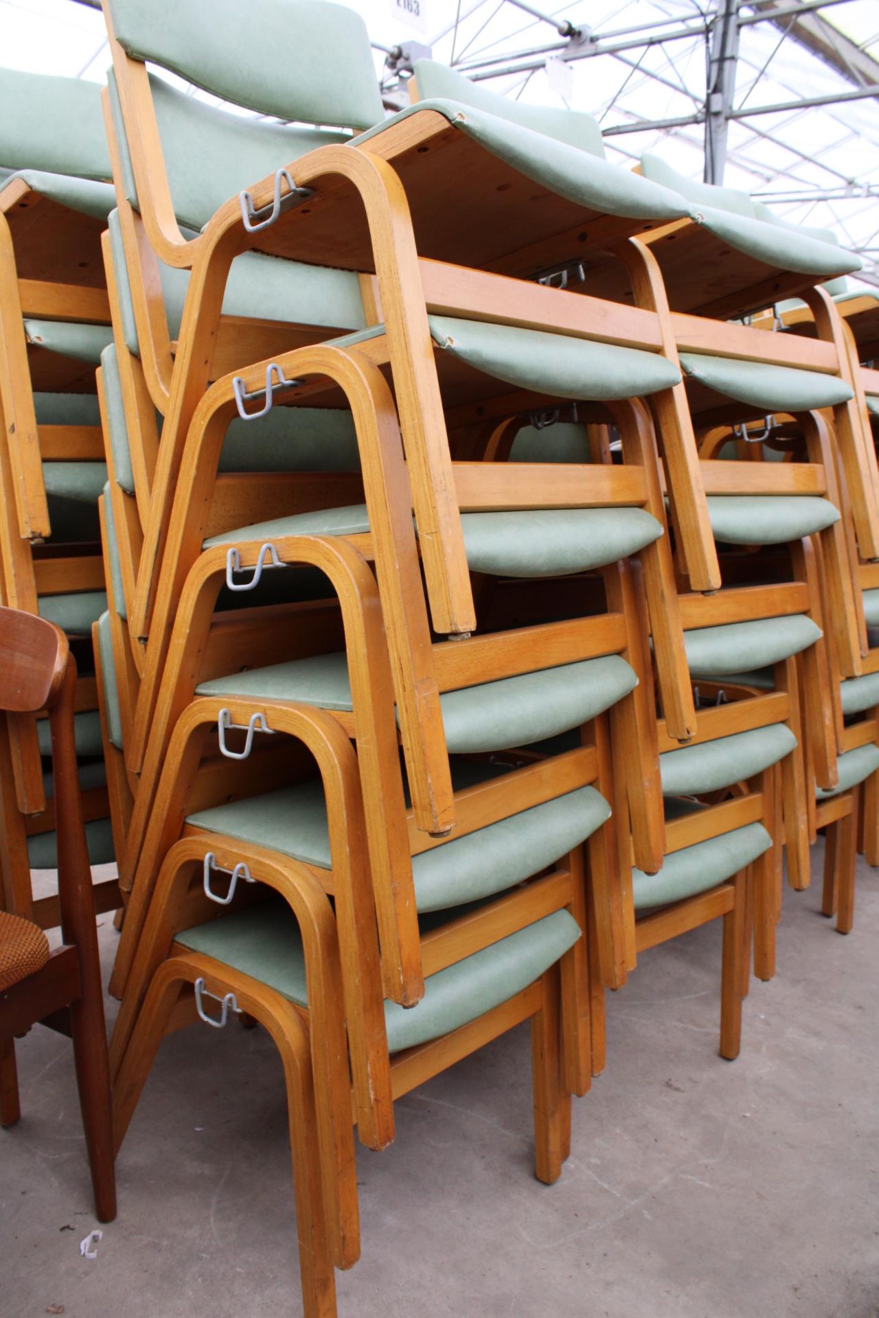 TWENTY FOUR MODERN BENTWOOD STACKING CHAIRS - Image 2 of 3