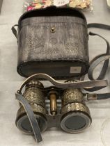 A PAIR OF BRASS BINOCULARS IN A LEATHER CASE