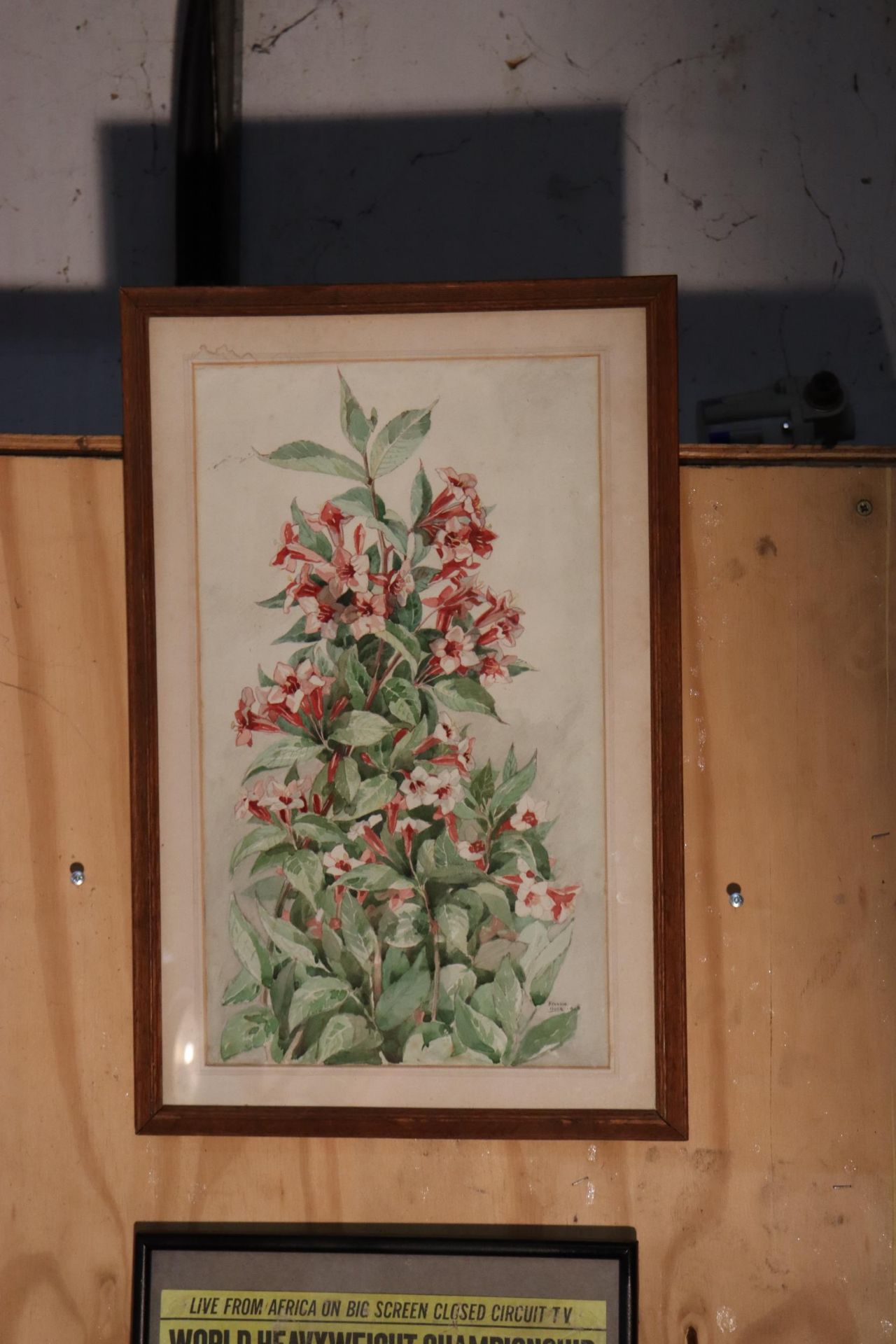 A 1946 FLORAL WATERCOLOUR SIGNED BEULAH AGER, 36CM X 54CM - Image 2 of 5