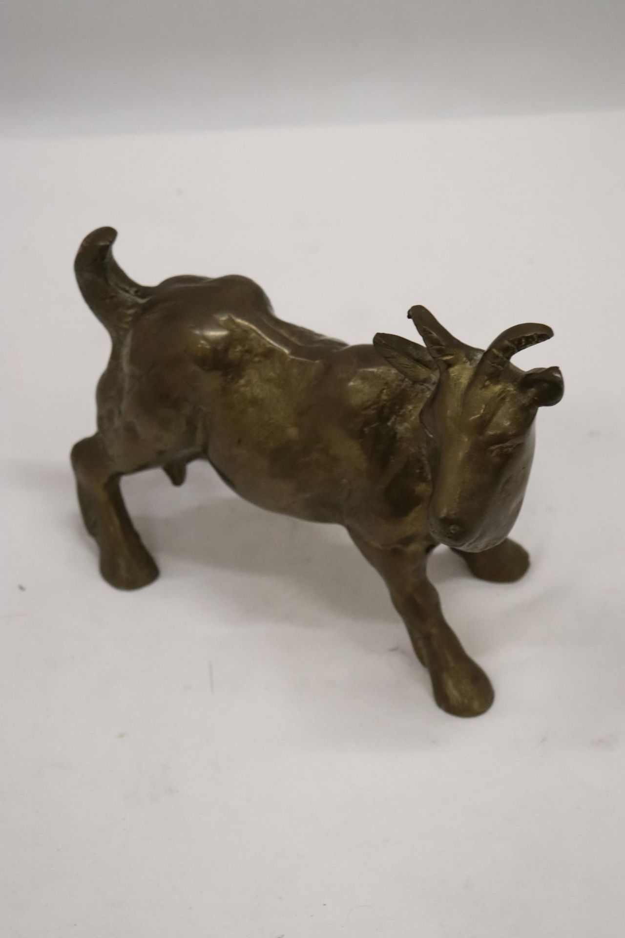 A VERY HEAVY SOLID BRASS GOAT, HEIGHT 16CM, LENGTH 18CM - Image 5 of 5