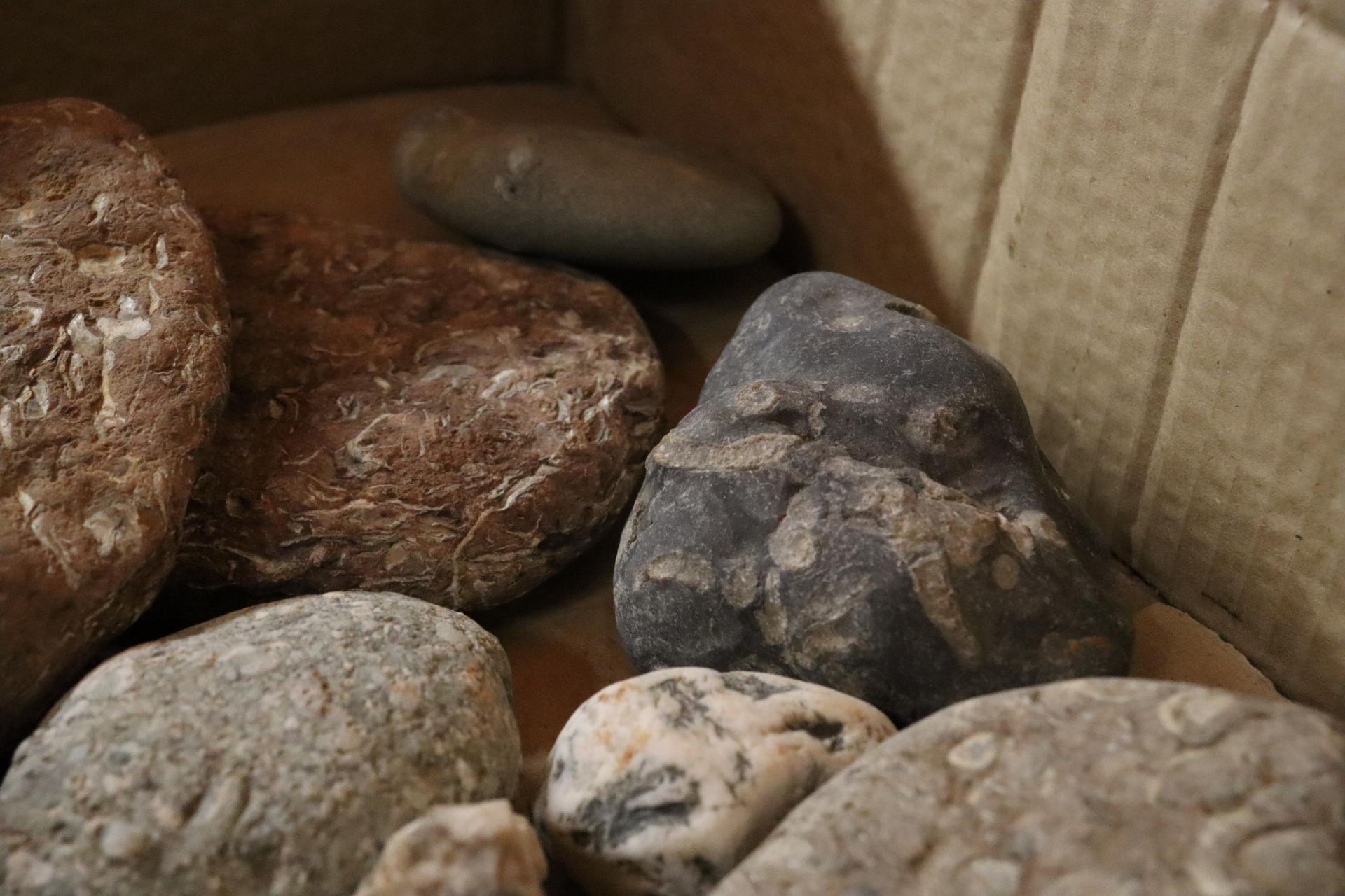 A BOX OF ASSORTED GEOLOGICAL STONES, ETC - Image 4 of 6