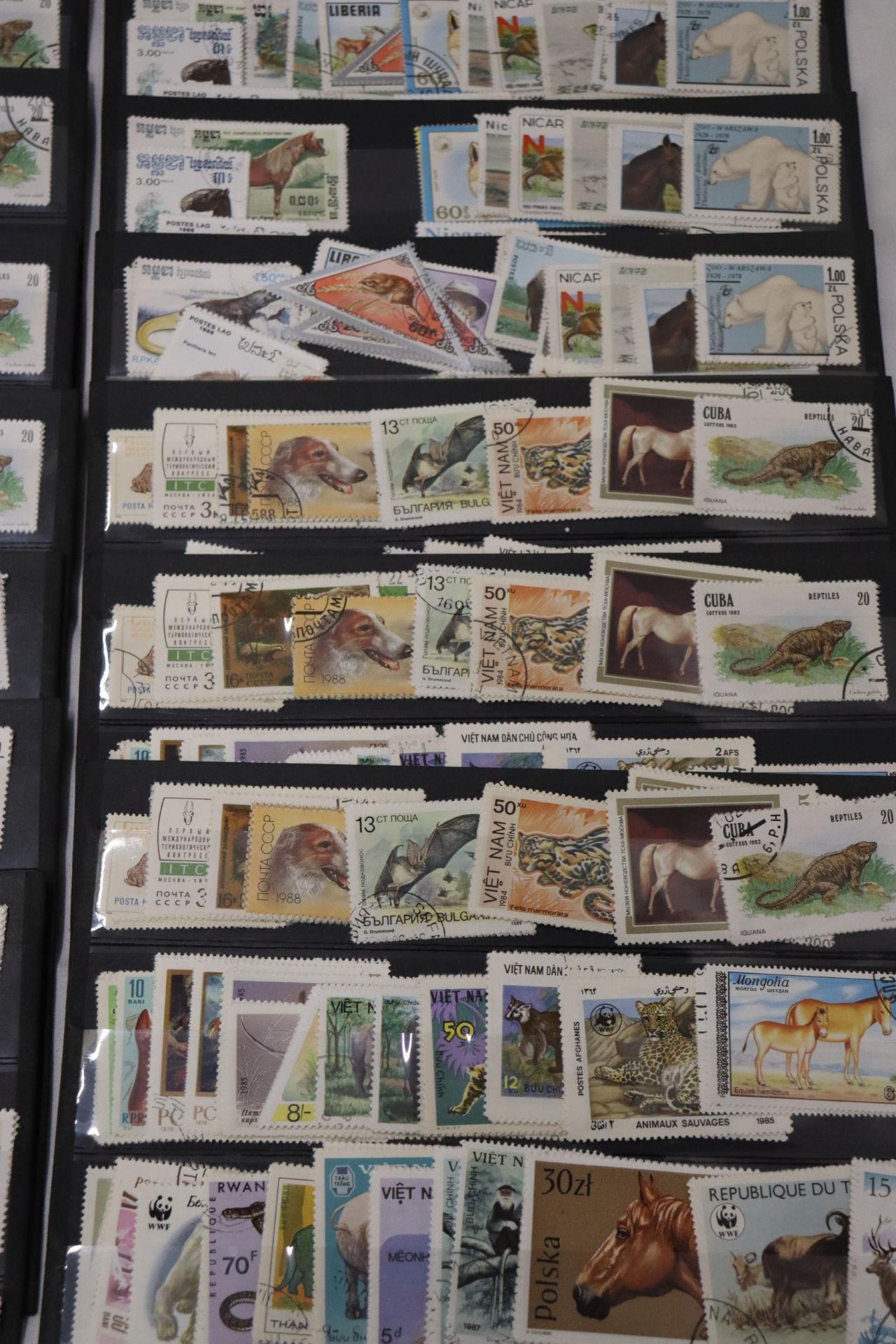 A COLLECTION OF STAMPS ON STOCK CARDS - Bild 5 aus 6