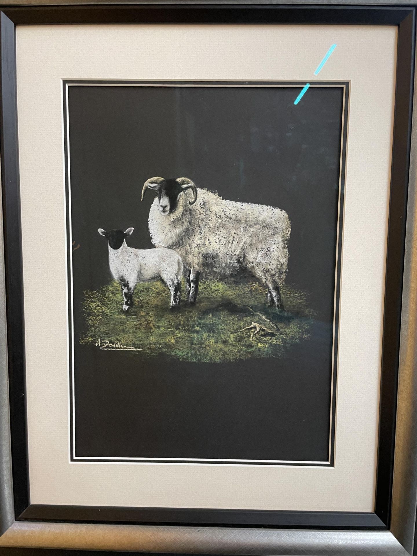 TWO FRAMED AND GLAZED PASTELS OF SCOTTISH BLACK FACE EWES ONE WITH A SINGLE LAMB AT FOOT AND ONE - Image 2 of 8