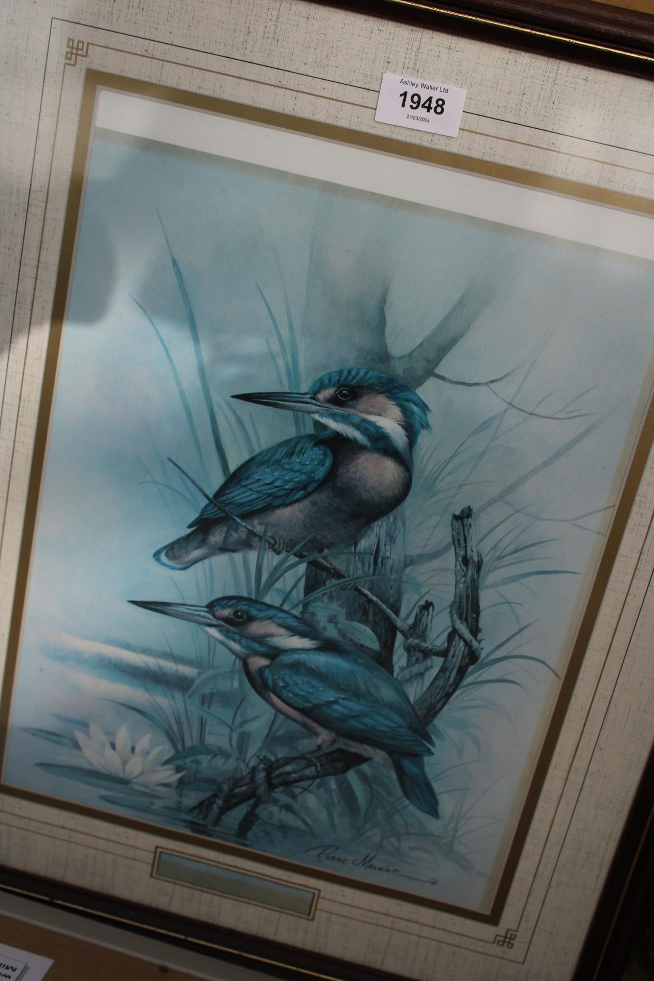 TWO FRAMED PRINTS TO INCLUDE A KINGFISHER ETC - Bild 3 aus 3