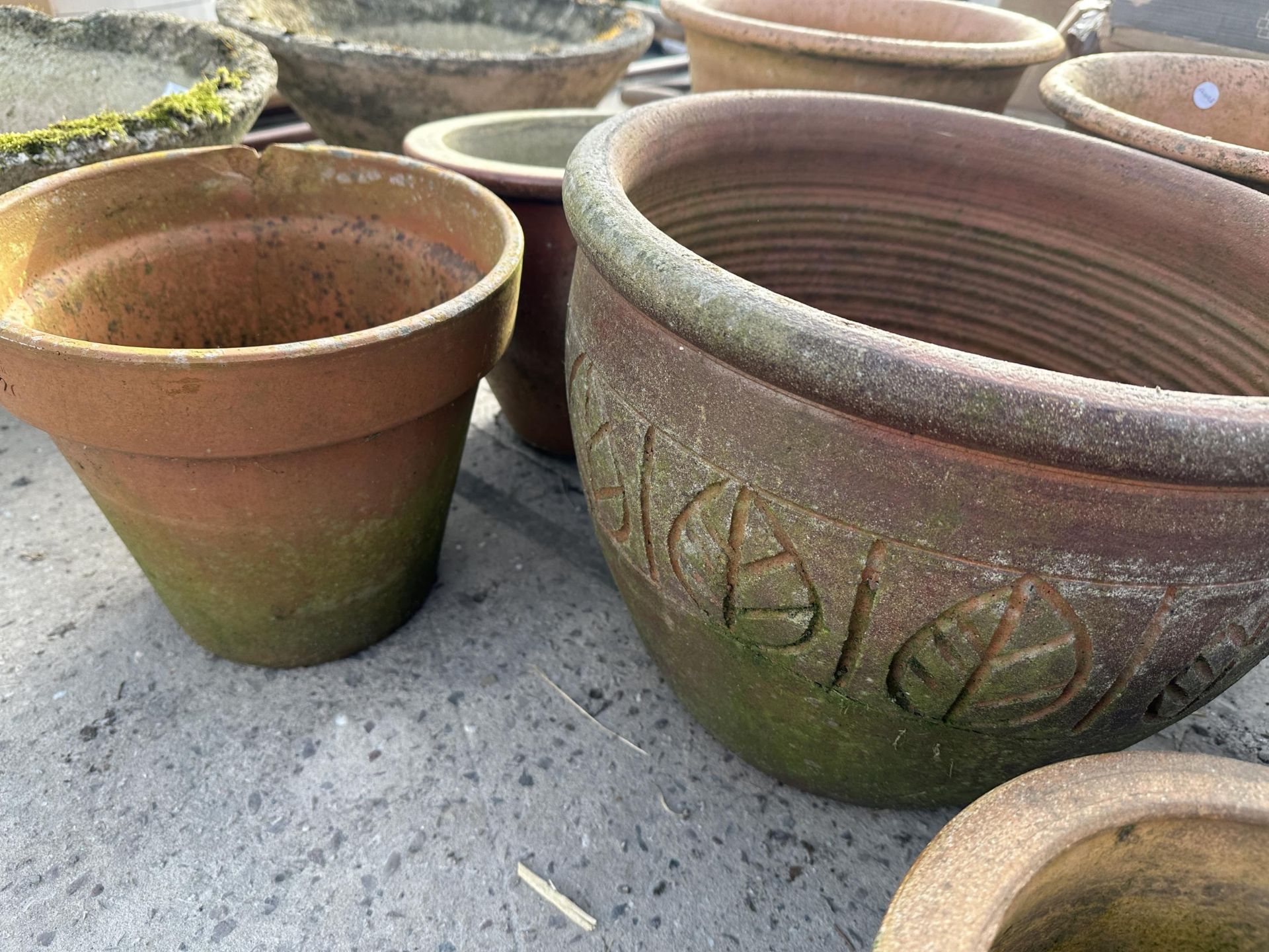 AN ASSORTMENT OF GLAZED AND TERRACOTTA PLANT POTS - Image 2 of 3