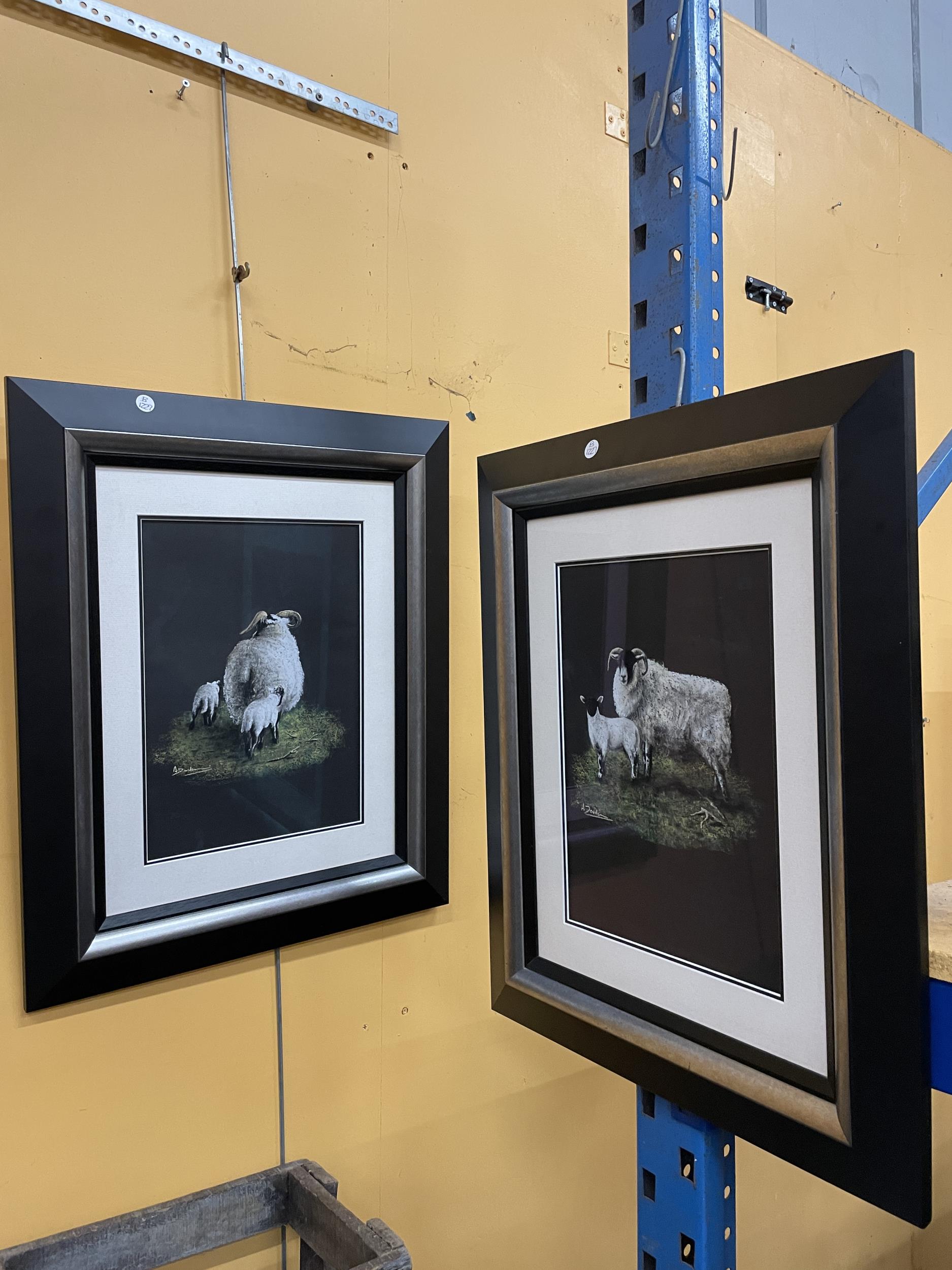 TWO FRAMED AND GLAZED PASTELS OF SCOTTISH BLACK FACE EWES ONE WITH A SINGLE LAMB AT FOOT AND ONE