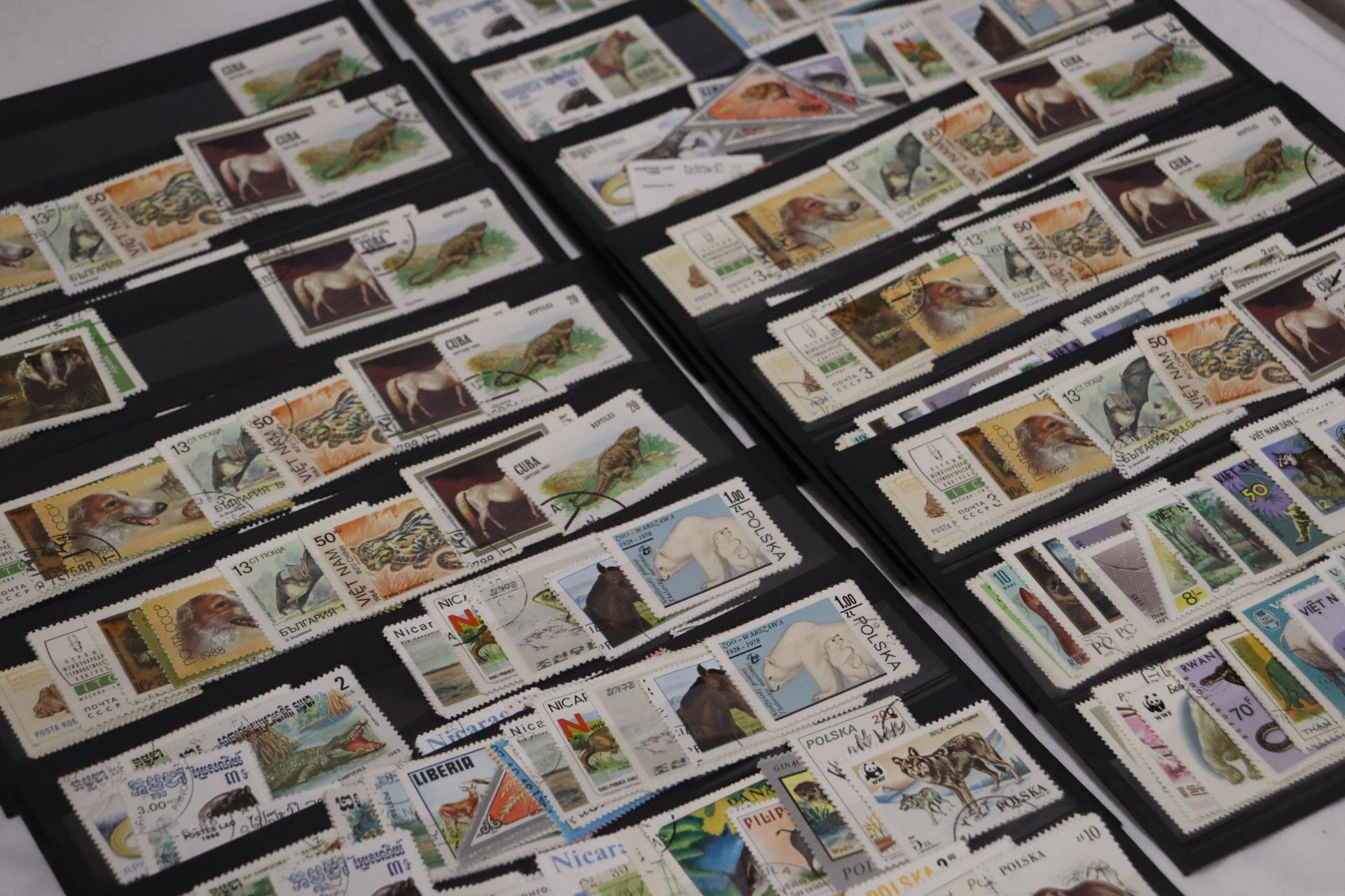 A COLLECTION OF STAMPS ON STOCK CARDS - Bild 6 aus 6