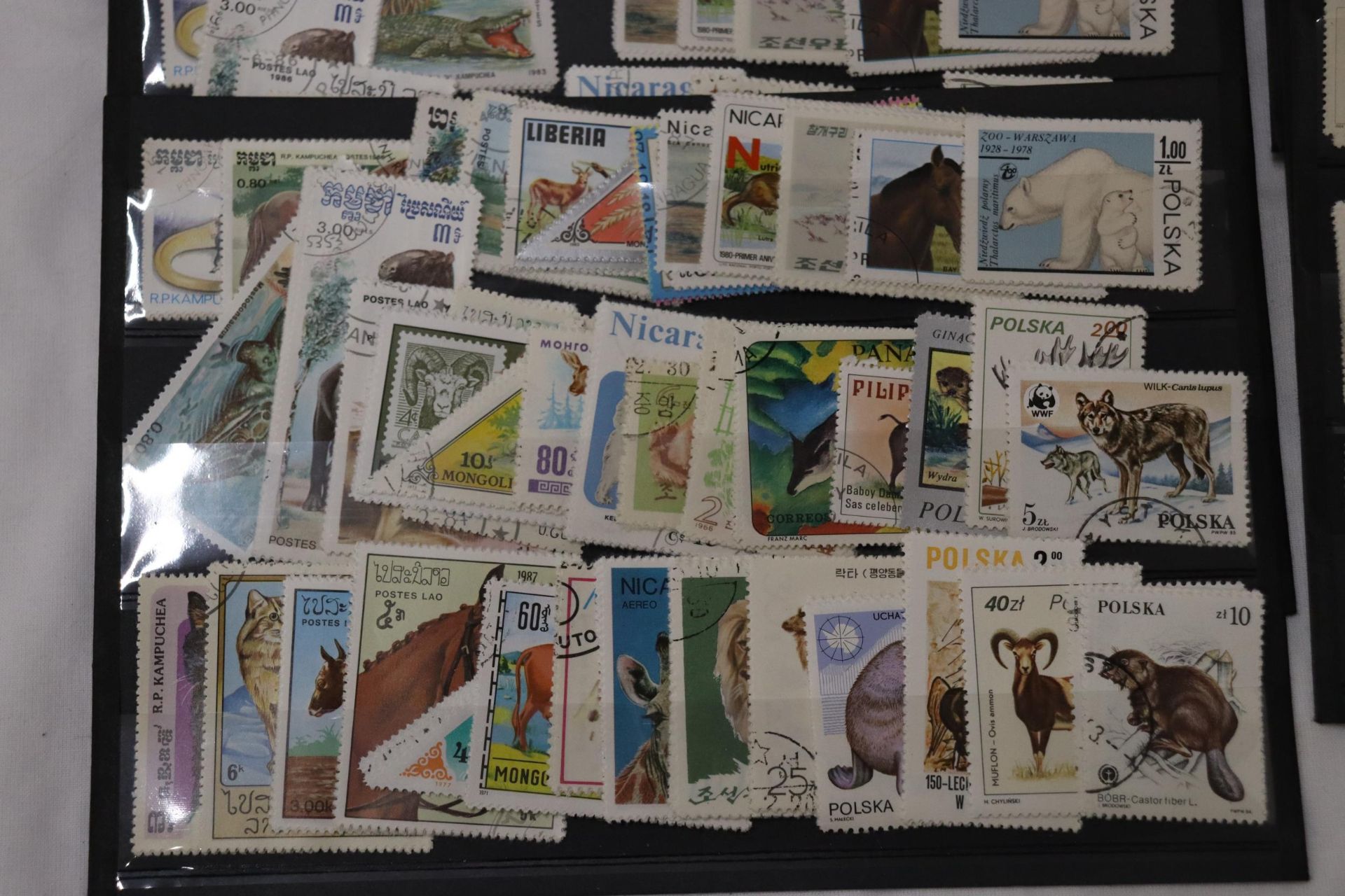 A COLLECTION OF STAMPS ON STOCK CARDS - Bild 2 aus 6