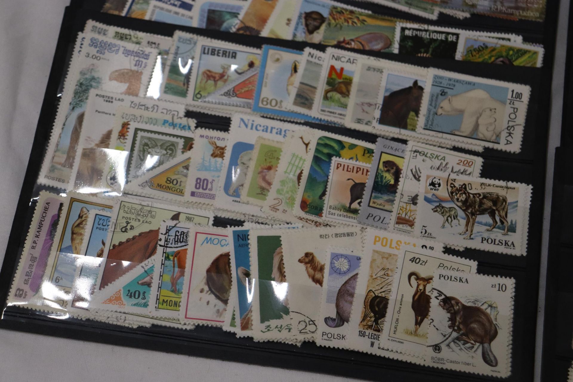 A COLLECTION OF STAMPS ON STOCK SHEETS - Bild 4 aus 7