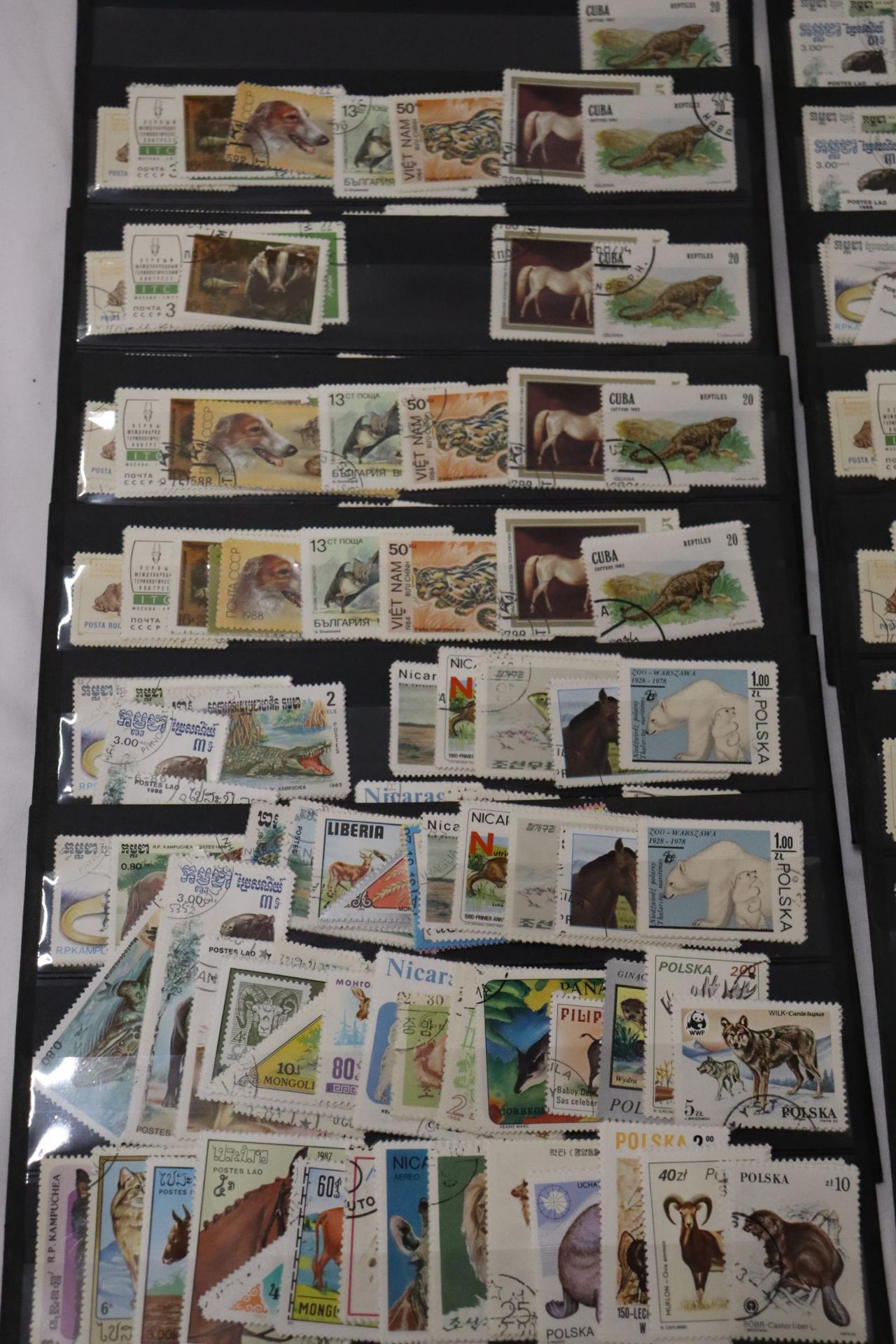 A COLLECTION OF STAMPS ON STOCK CARDS - Bild 4 aus 6