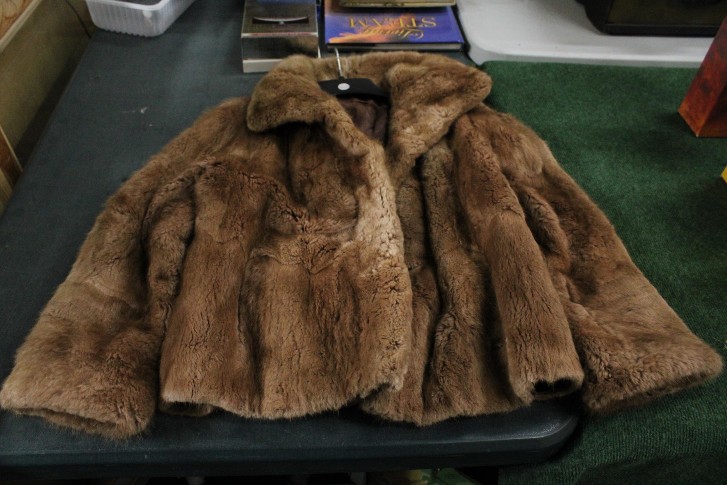 A BROWN BOLERO STYLE FUR COAT