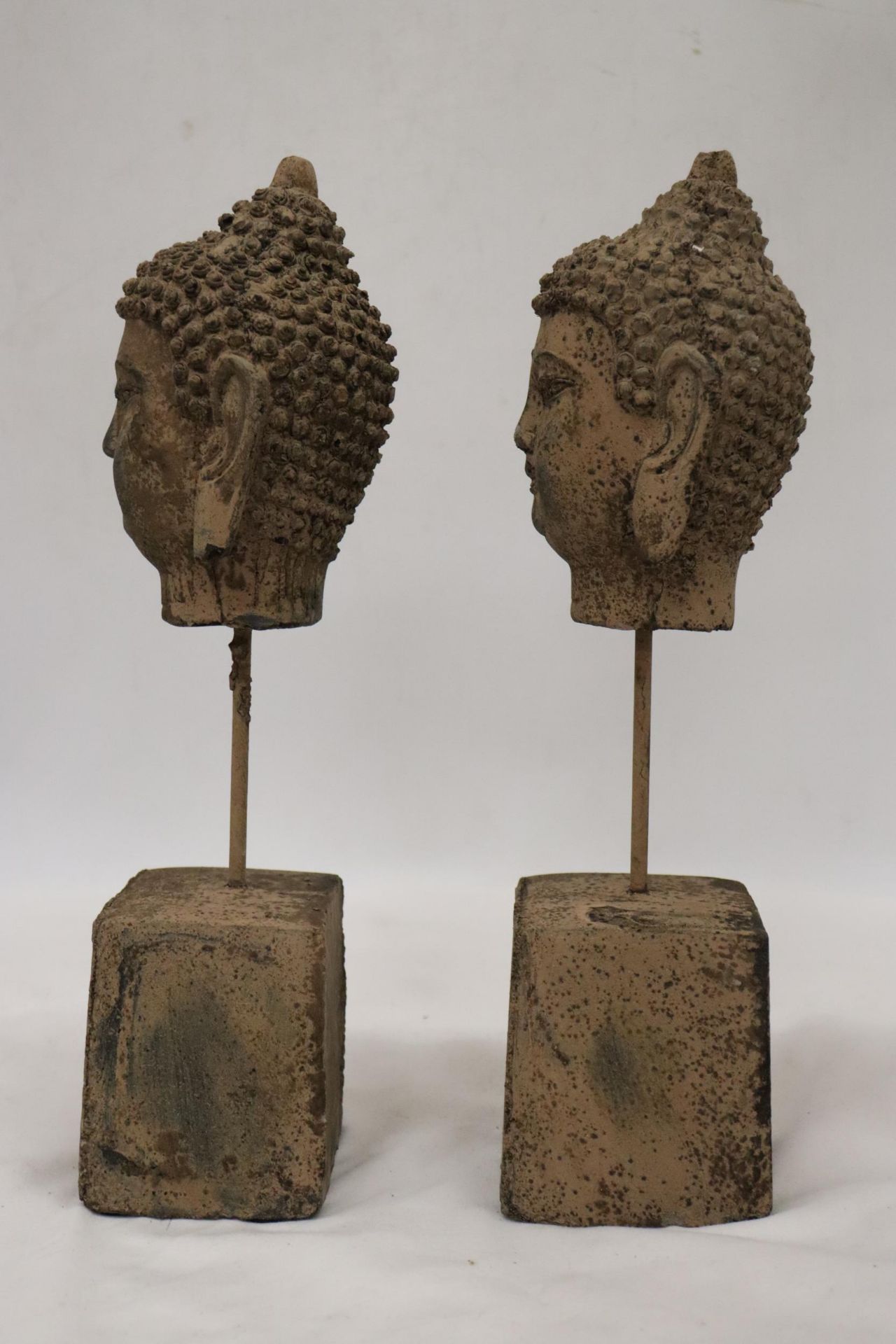 TWO BUDDAH HEADS ON STANDS - Image 3 of 5