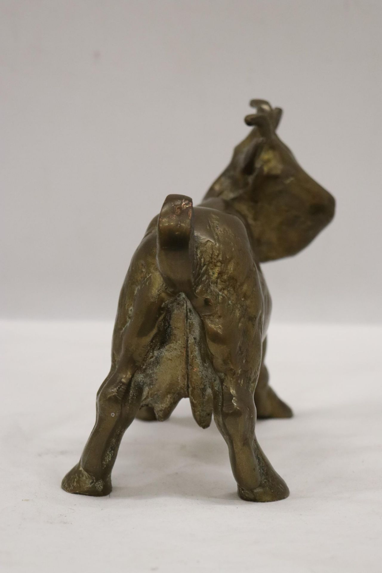 A VERY HEAVY SOLID BRASS GOAT, HEIGHT 16CM, LENGTH 18CM - Image 4 of 5