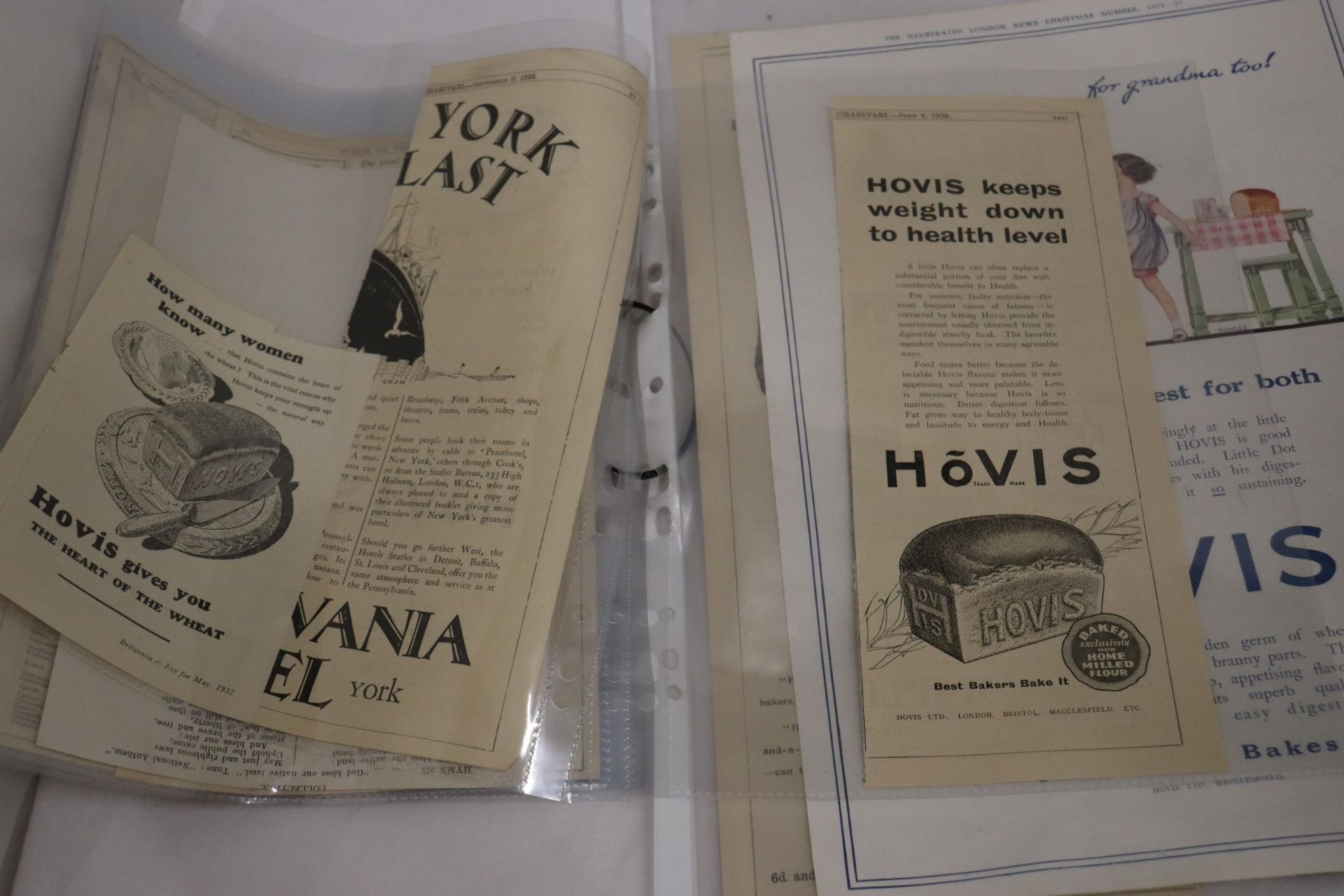 A QUANTITY OF ADVERTISEMENTS FOR HOVIS - Image 6 of 8