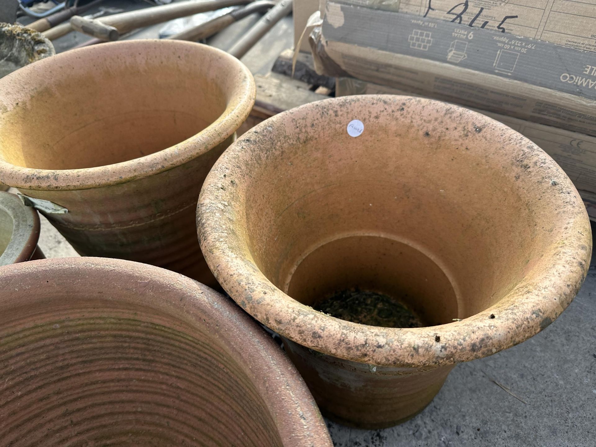 AN ASSORTMENT OF GLAZED AND TERRACOTTA PLANT POTS - Image 3 of 3