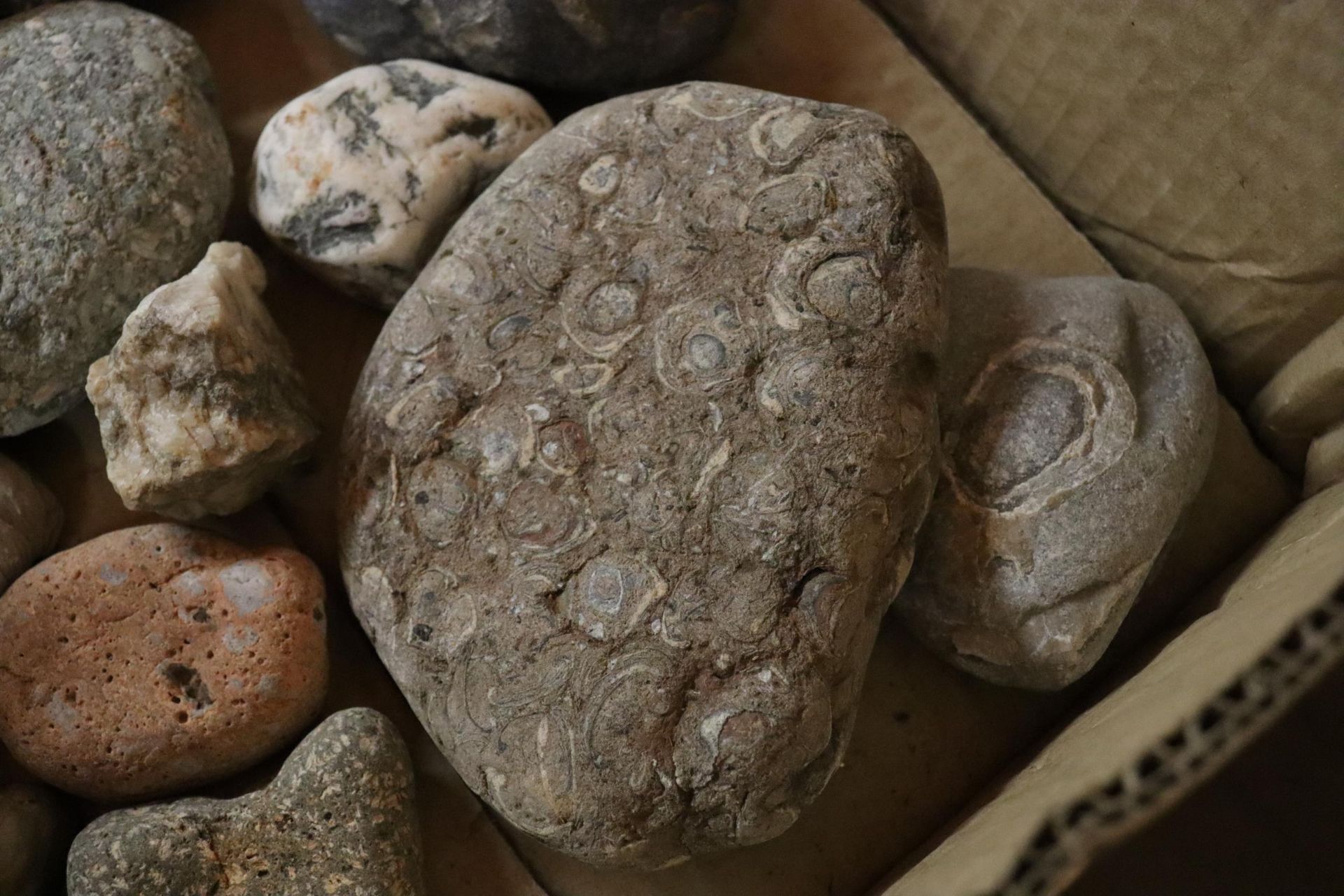 A BOX OF ASSORTED GEOLOGICAL STONES, ETC - Image 6 of 6