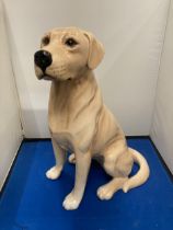 A LARGE BESWICK FIRESIDE GOLDEN LABRADOR NO 2314 APPROX 32CM TALL