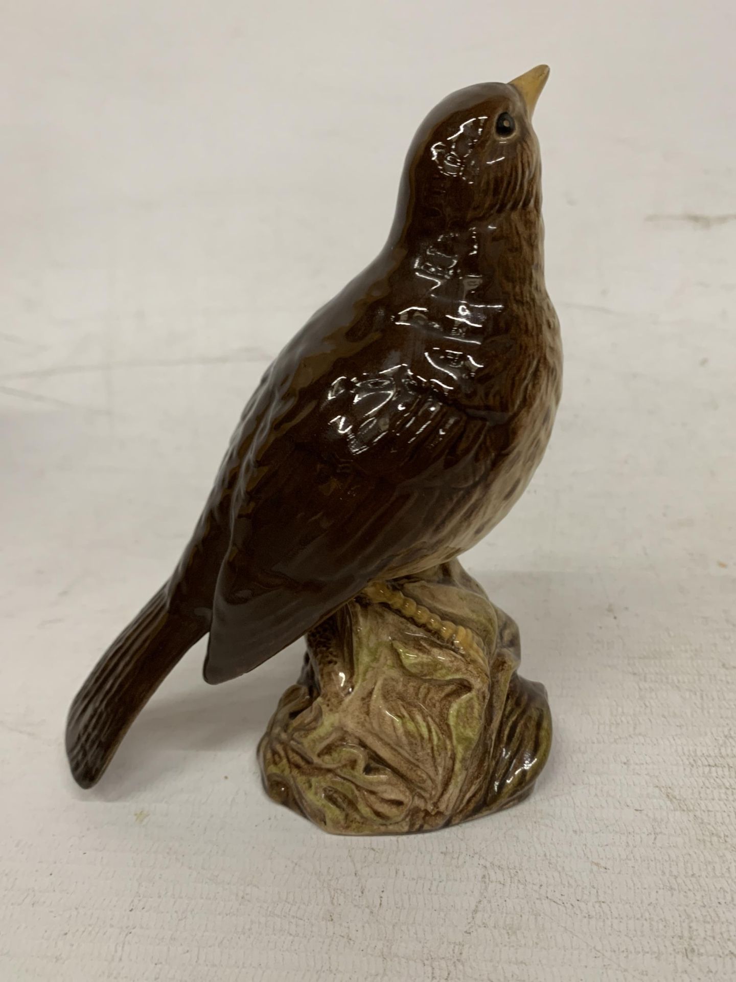 A BESWICK SONG THRUSH IN A GLOSS FINISH No 2308 - Image 3 of 4