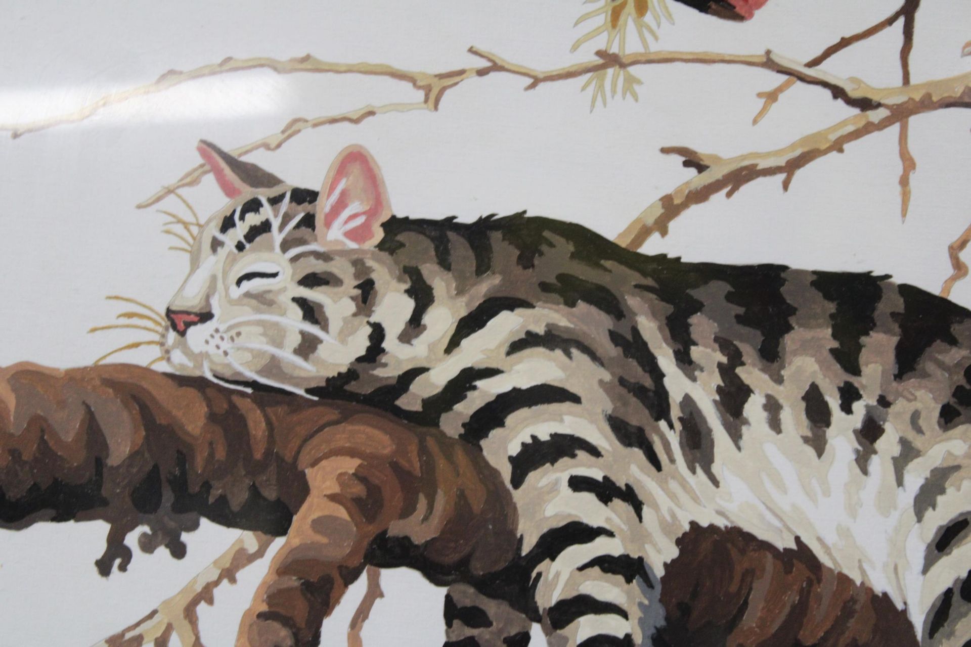 A WATERCOLOUR OF A TABBY CAT IN A TREE PLUS A PRINT OF A CAT, 'WORRYING THE GOLDFISH' - Image 5 of 6