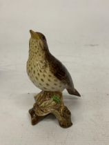 A BESWICK SONG THRUSH IN A GLOSS FINISH No 2308