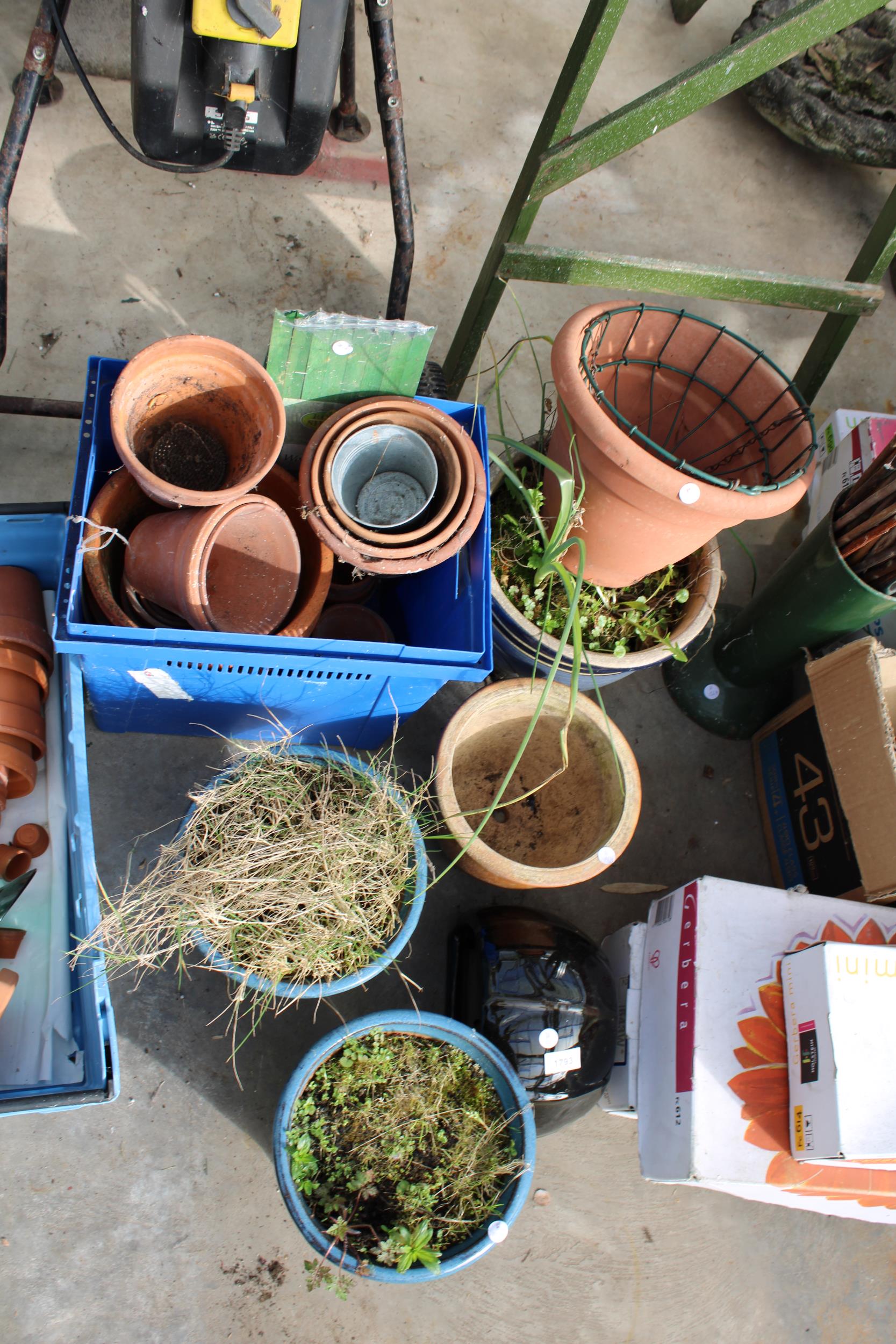 AN ASSORTMENT OF GLAZED AND TERRACOTTA PLANT POTS - Image 2 of 3