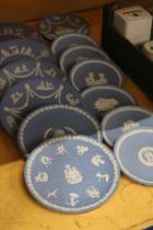 A QUANTITY OF WEDGWOOD JASPERWARE CABINET PLATES - 13 IN TOTAL