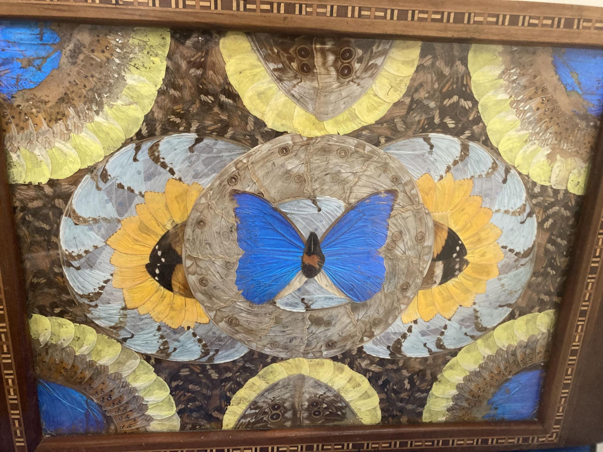 A VINTAGE INLAID WOODEN TRAY WITH BUTTERFLIES