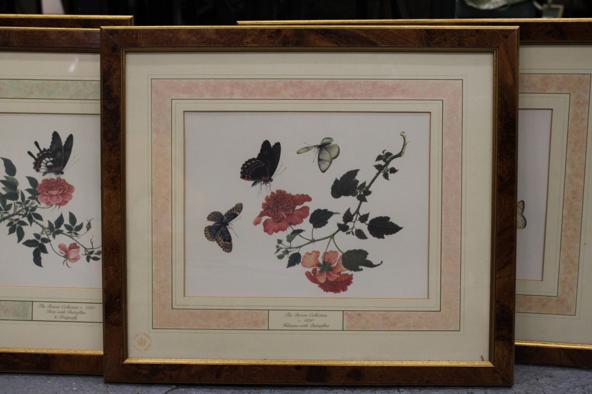 A SET OF FOUR "THE REEVES COLLECTION" FEATURING BUTTERFLIES AND VARIOUS FLOWERS - Bild 2 aus 3