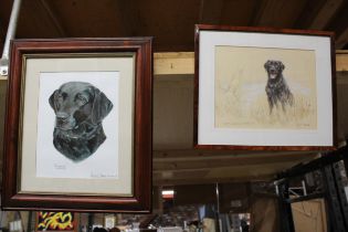 TWO FRAMED STUDIES OF A BLACK LABRADOR TO INCLUDE A WATER COLOUR AND A PASTEL