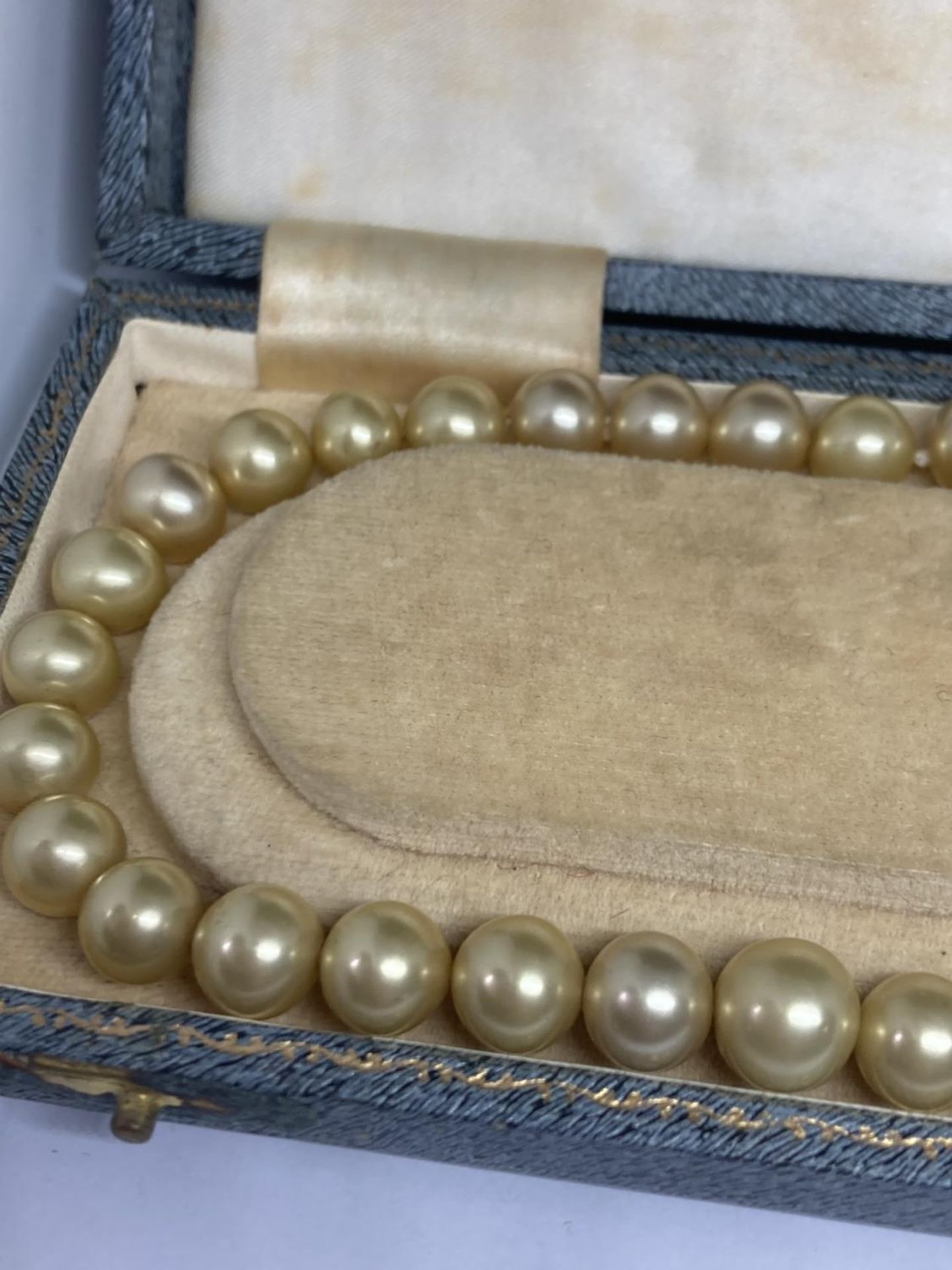 A PEARL NECKLACE IN A PRESENTATION BOX - Image 2 of 3