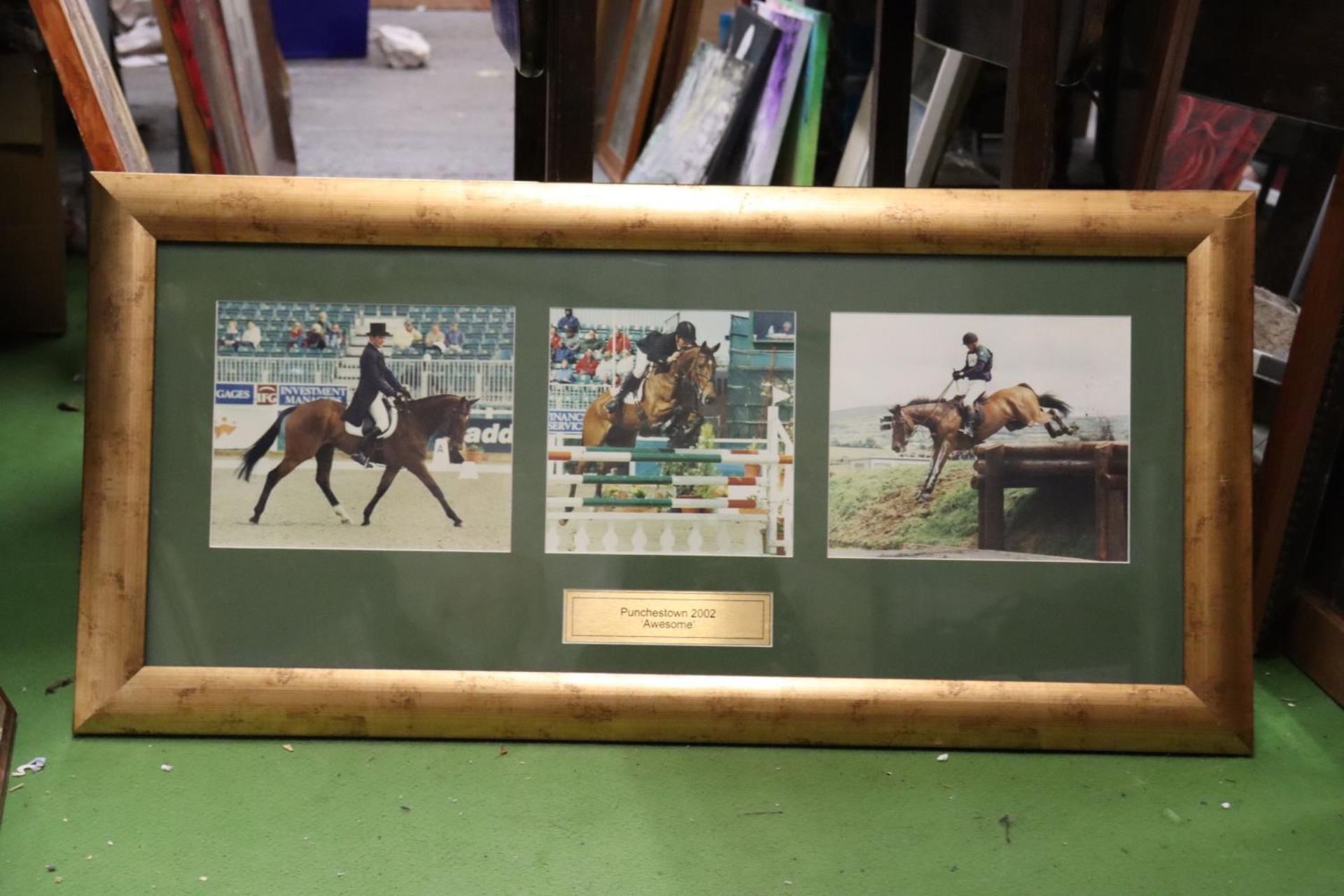 A QUANTITY OF SHOWJUMPING AND EVENTING PHOTOGRAPHS - IN FRAMES - Image 3 of 4