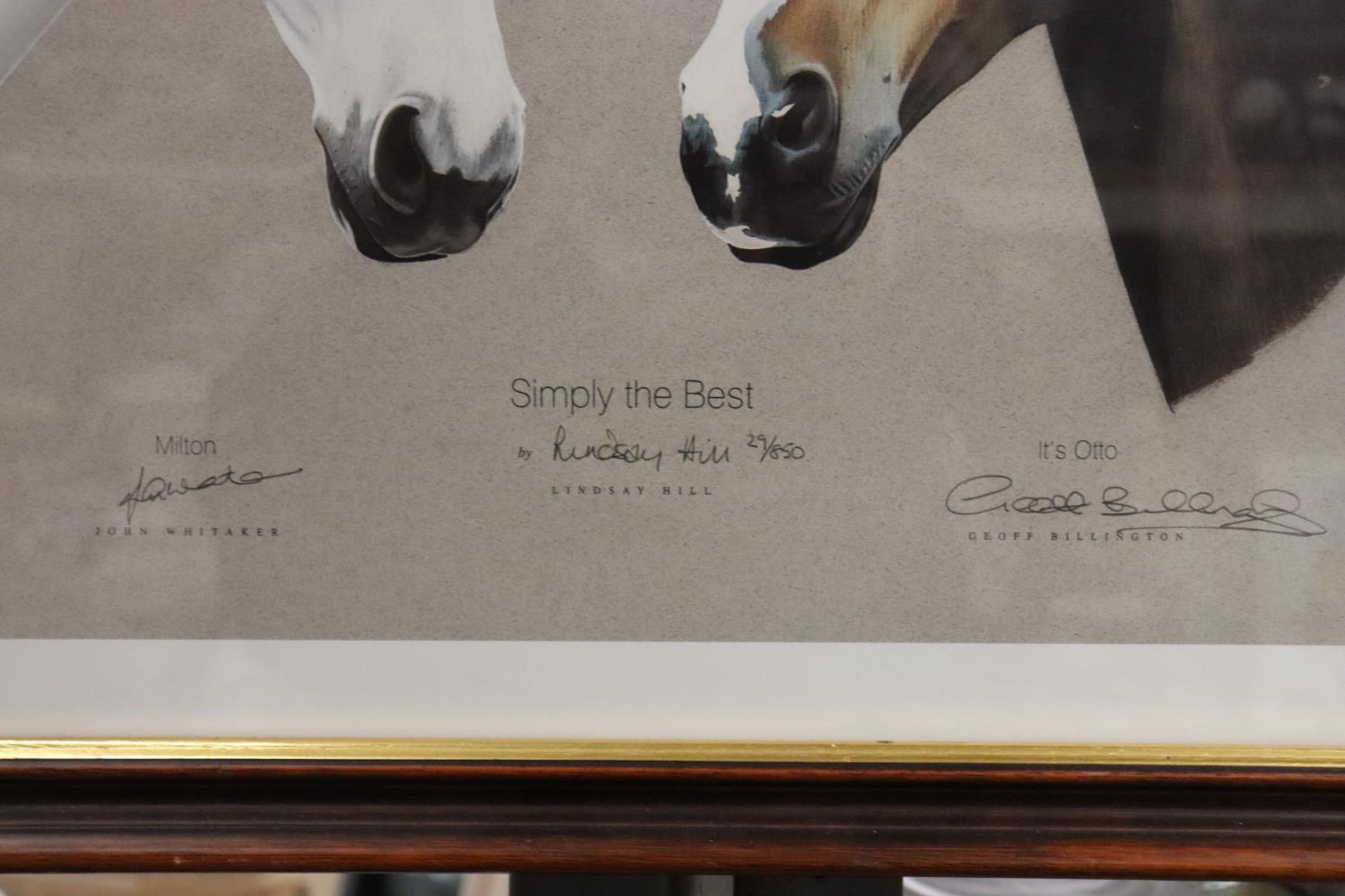 A FRAMED LIMITED EDITION 29/850 PRINT, 'SIMPLY THE BEST', FEATURING SHOWJUMPERS, MILTON (JOHN - Image 3 of 3