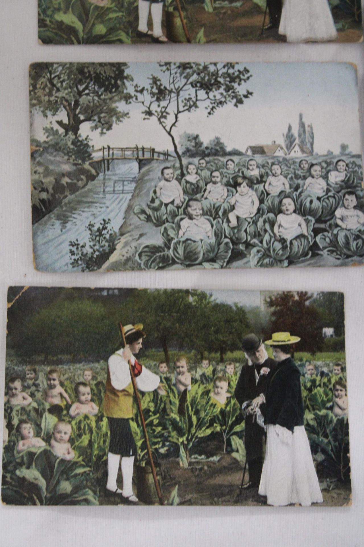 SEVEN EARLY 1900'S POSTCARDS TO INCLUDE FRENCH CABBAGE BABIES, ETC - Image 3 of 4