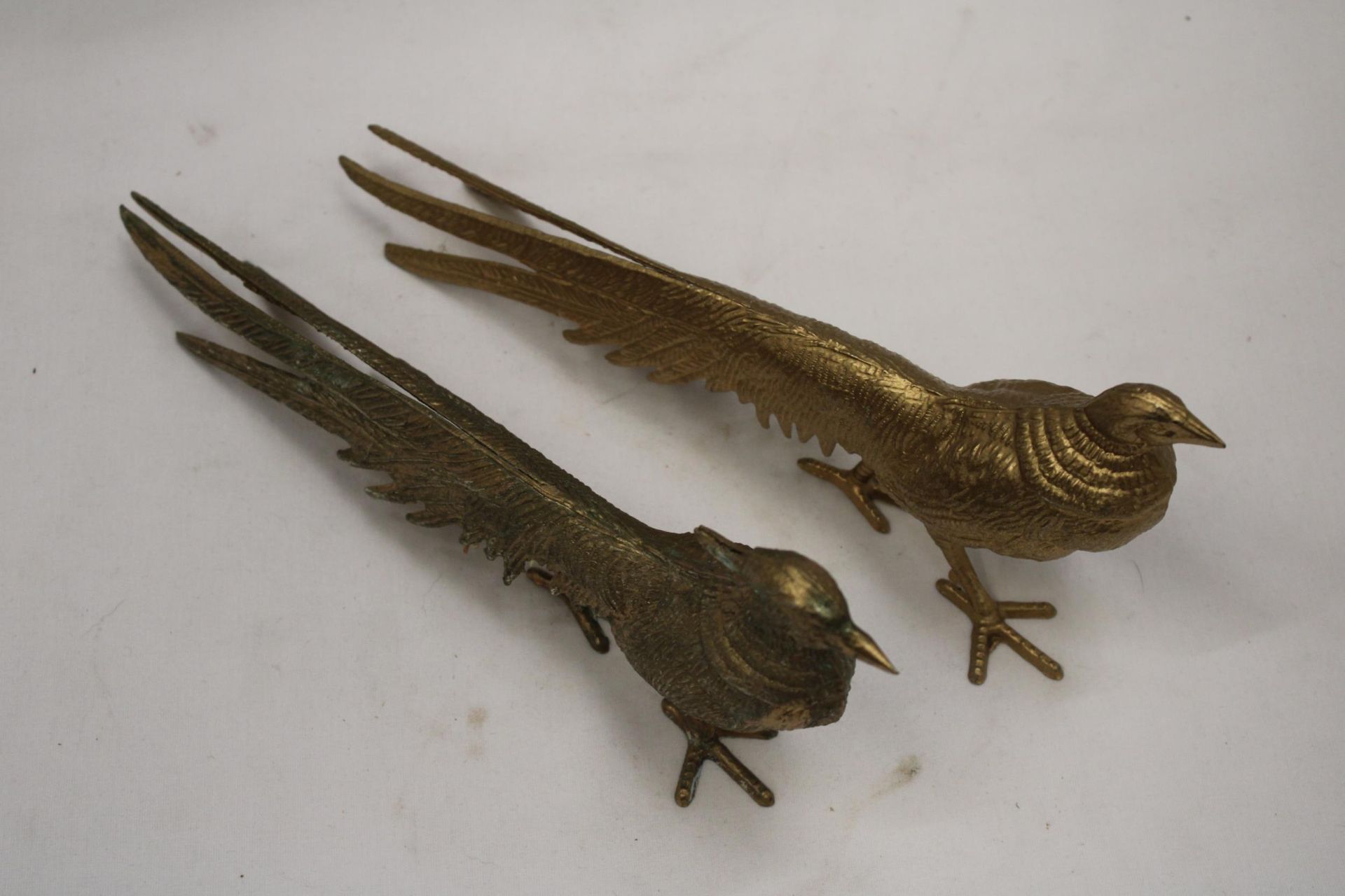 A PAIR OF COCK AND HEN PHEASANTS, HEIGHT 12CM, LENGTH 28CM - Image 5 of 5