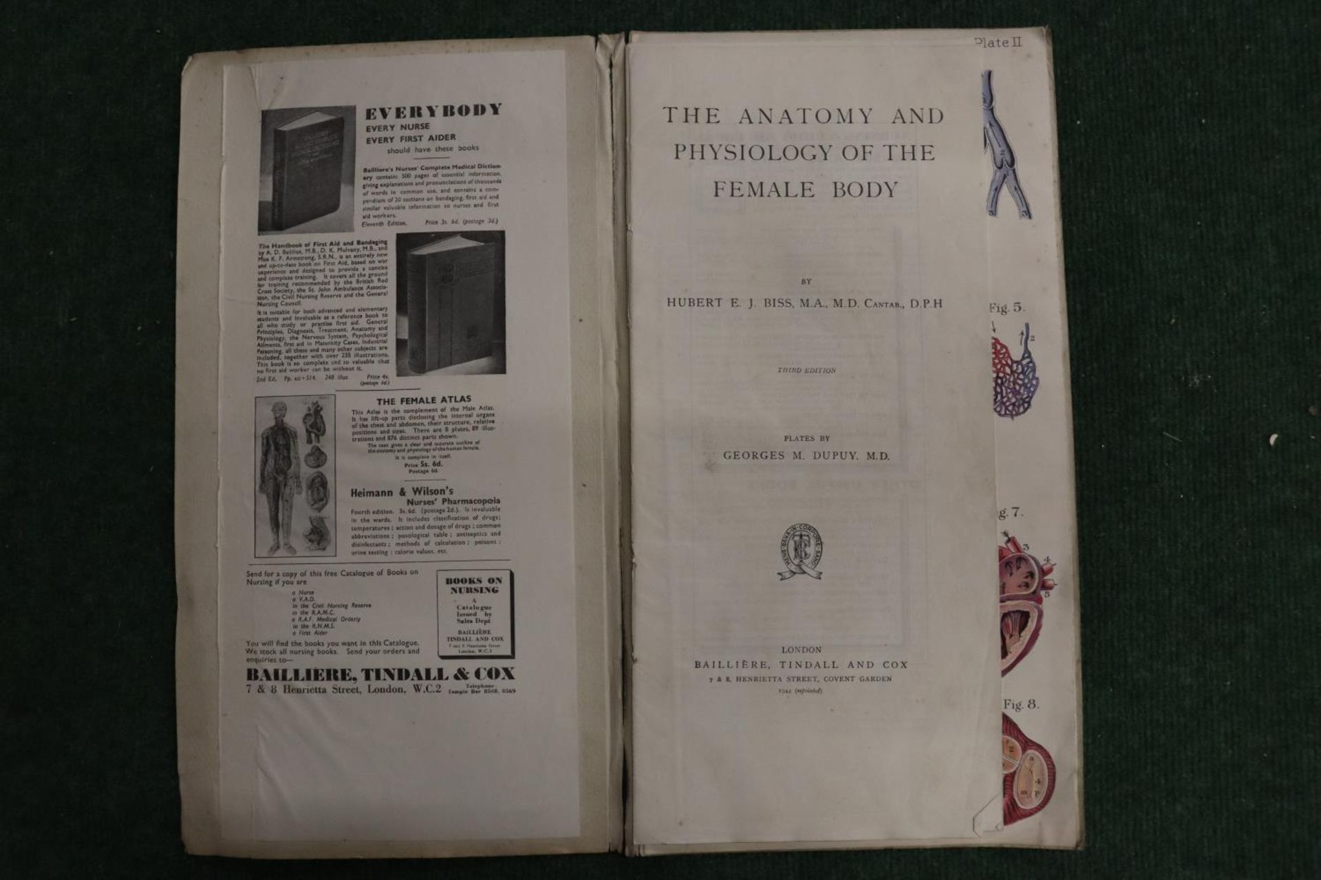 A VINTAGE BAILLIERE'S POPULAR ATLAS OF THE ANATOMY AND PHYSIOLOGY OF THE FEMALE HUMAN BODY BY HUBERT - Bild 2 aus 4