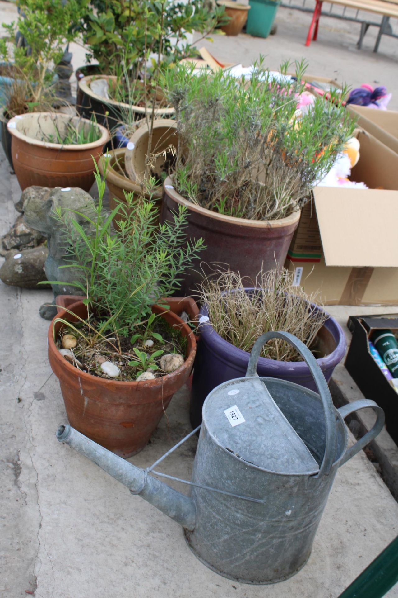 AN ASSORTMENT OF GARDEN ITEMS TO INCLUDE THREE CONCRETE FIGURES, GLAZED POTS AND A GALVANISED - Bild 3 aus 3