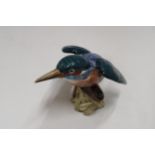 A BESWICK KINGFISHER (BEAK A/F)