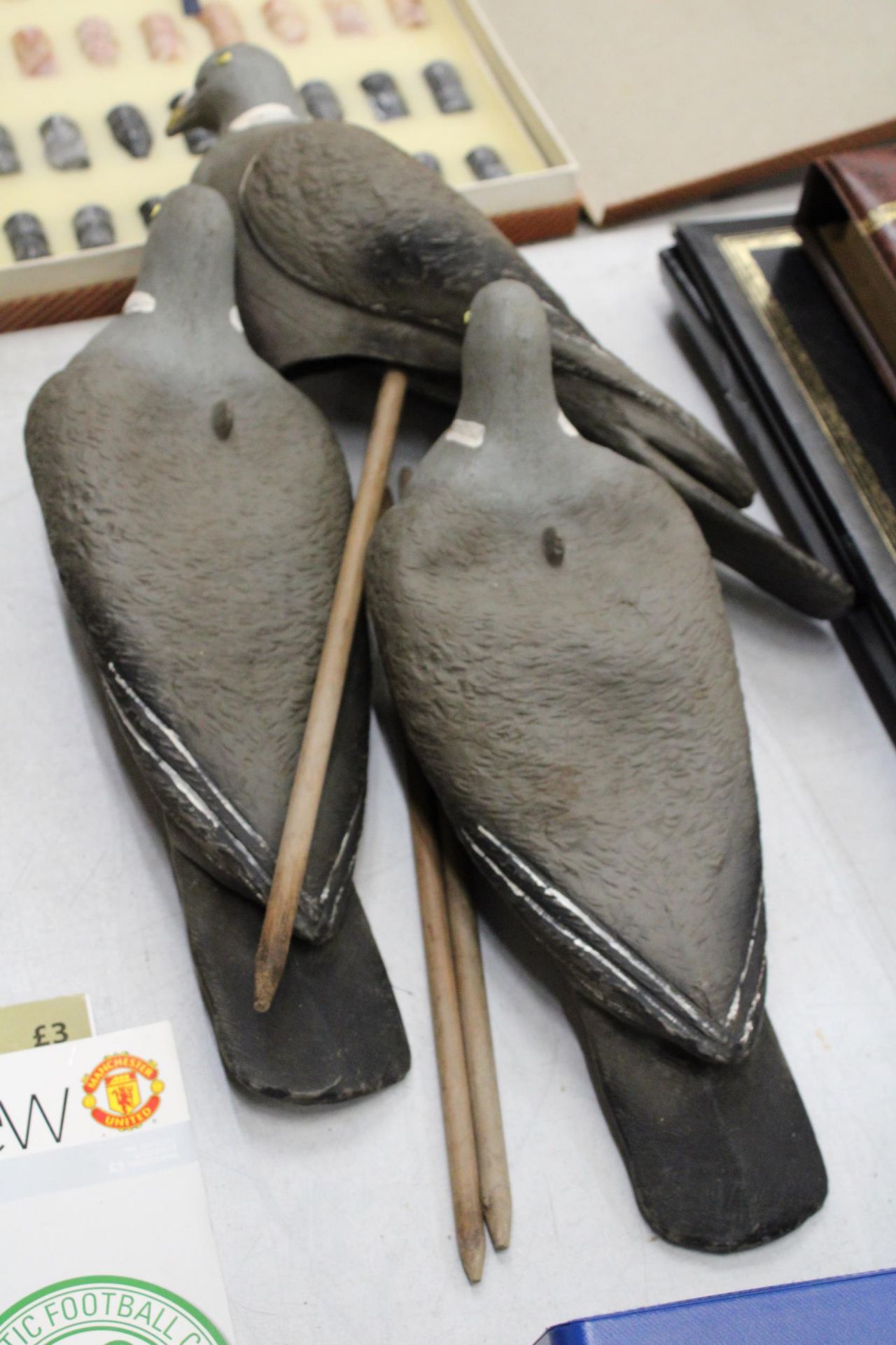 THREE DECOY PIGEONS ON WOODEN MOUNTS