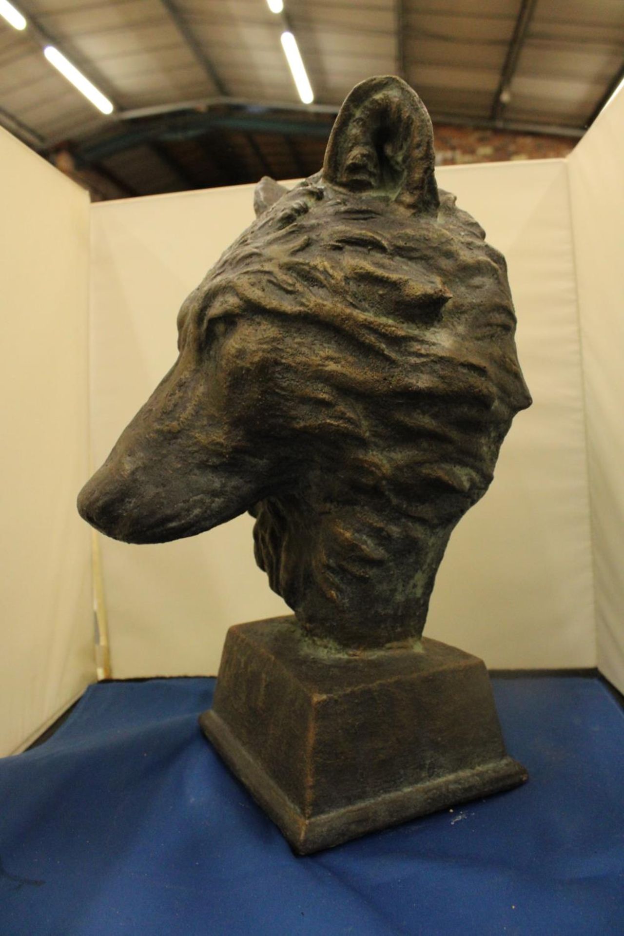 A LARGE BRONZED BUST OF A WOLF SIGNED TO THE BACK - Bild 2 aus 5