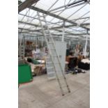 A TWELVE RUNG ALUMINIUM LADDER