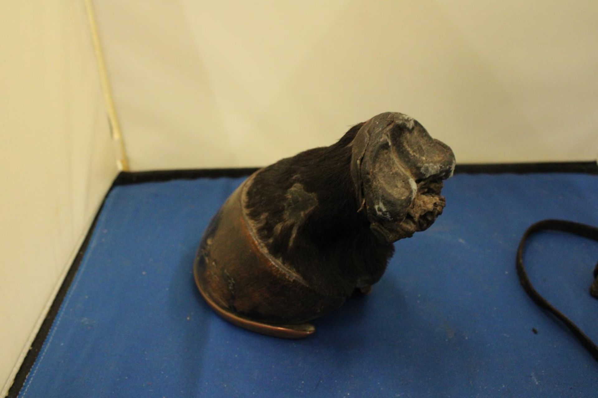 TWO VINTAGE ITEMS TO INCLUDE A MONOCULAR AND A HORSES HOOF - Image 2 of 7