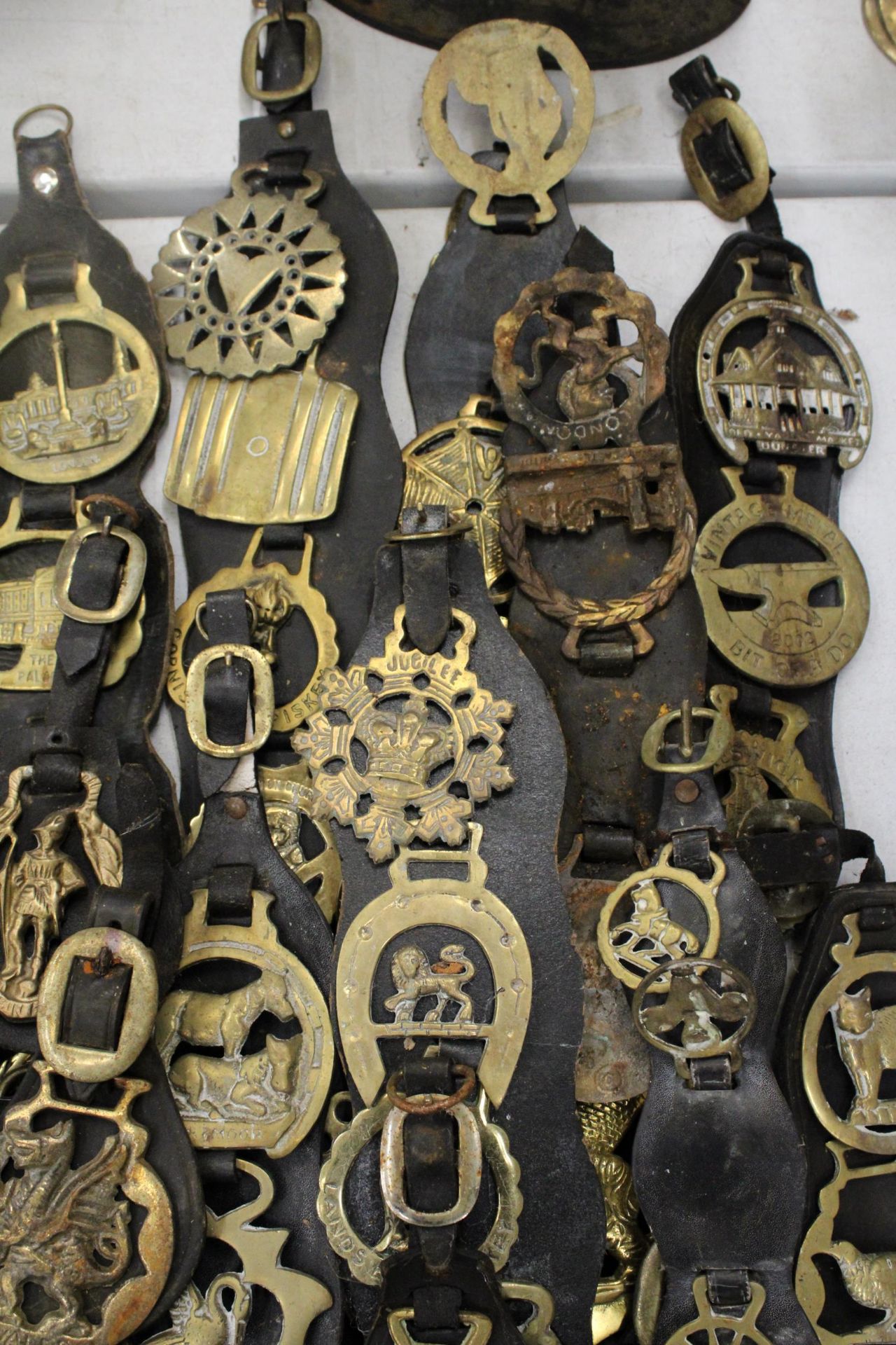 A LARGE COLLECTION OF HORSE BRASSES ON LEATHER STRAPS - Image 3 of 6