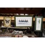 A TAXIDERMY BUTTERFLY AND TWO SIGNED PRINTS TO INCLUDE 'THE BULLY BOYS'